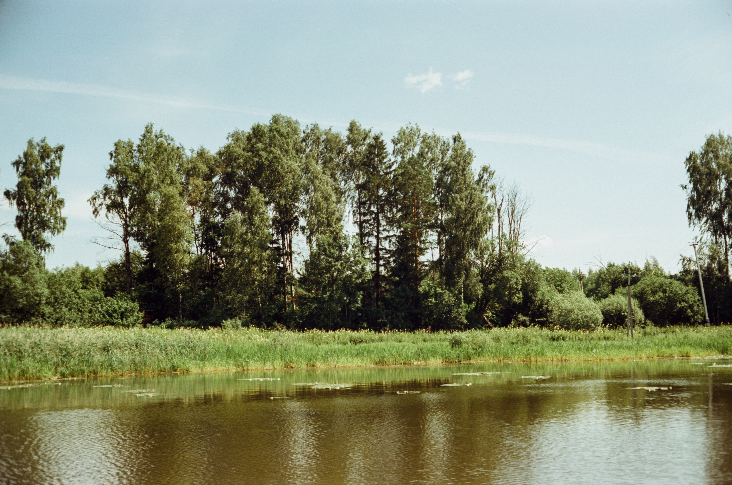 Canon Canonet QL17 G-III QL