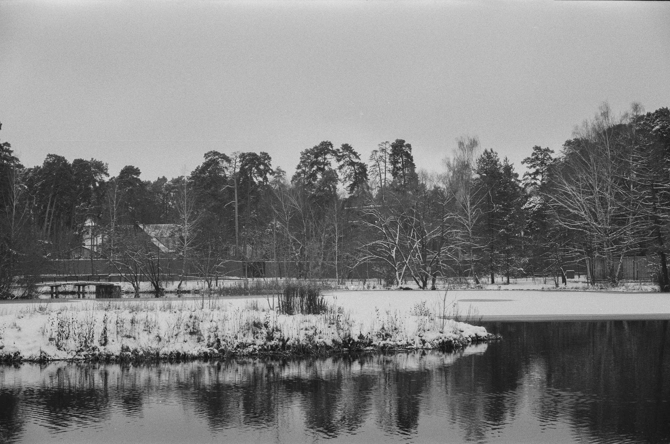 Konica III M / AgfaPhoto APX 400