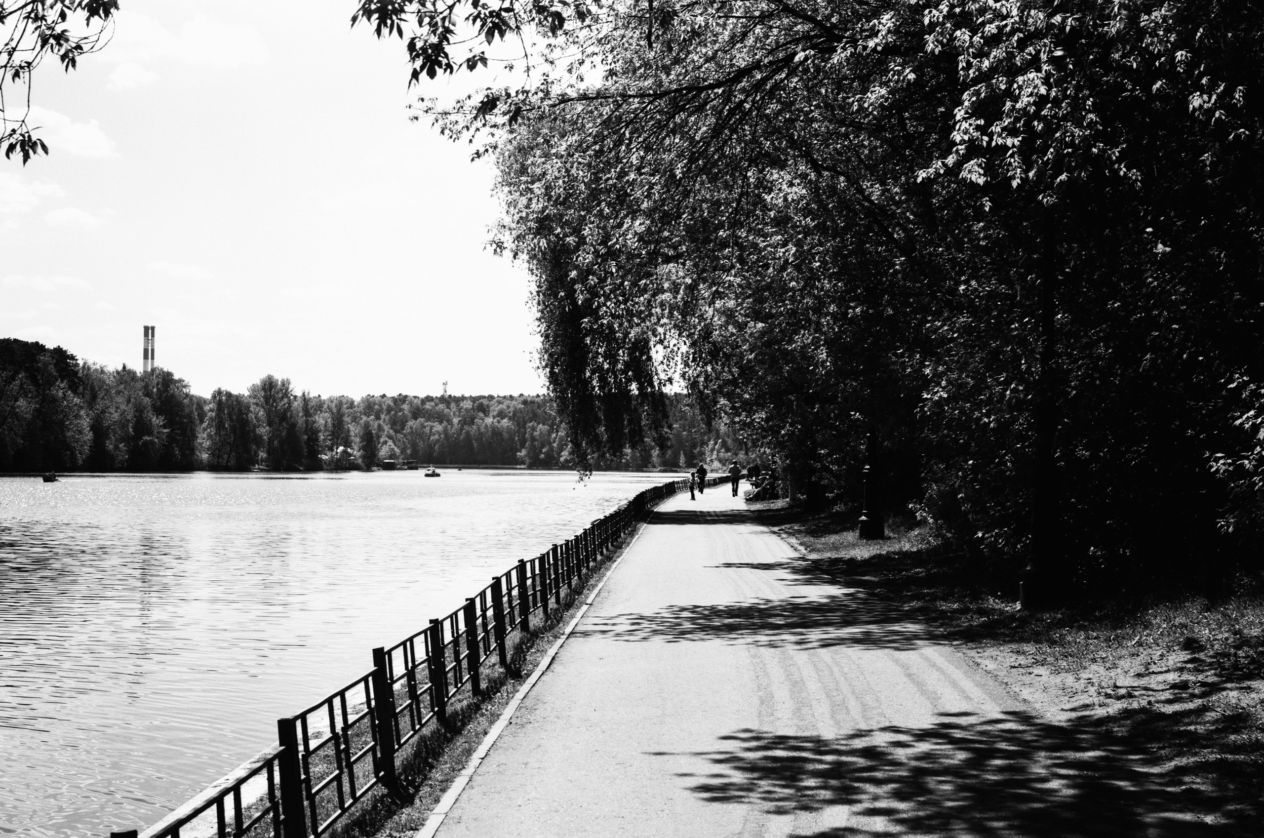 Kodak Retina Reflex S пример фото