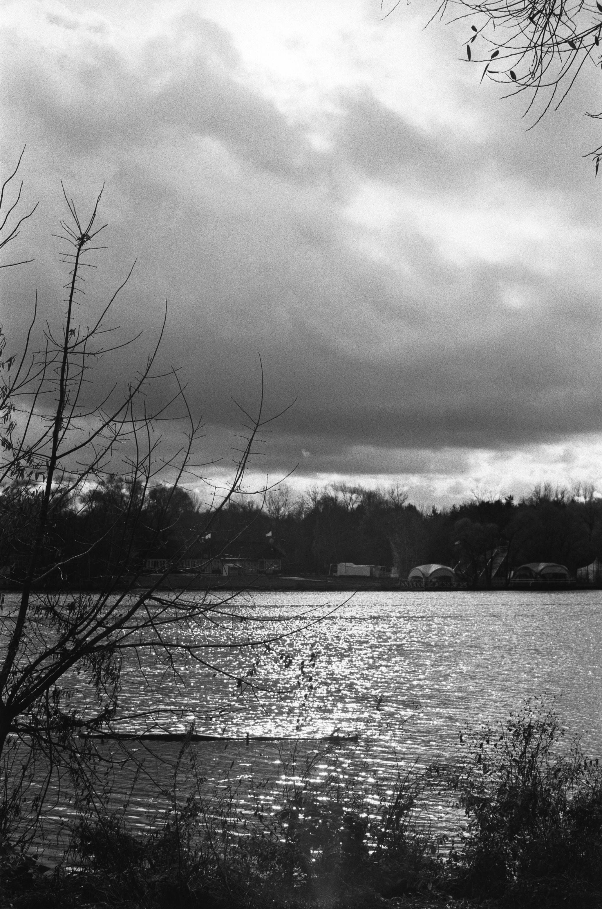 Cosina 55 mm f1.2 — Ricoh XR-10M / Тасма Тип-42 ISO 100