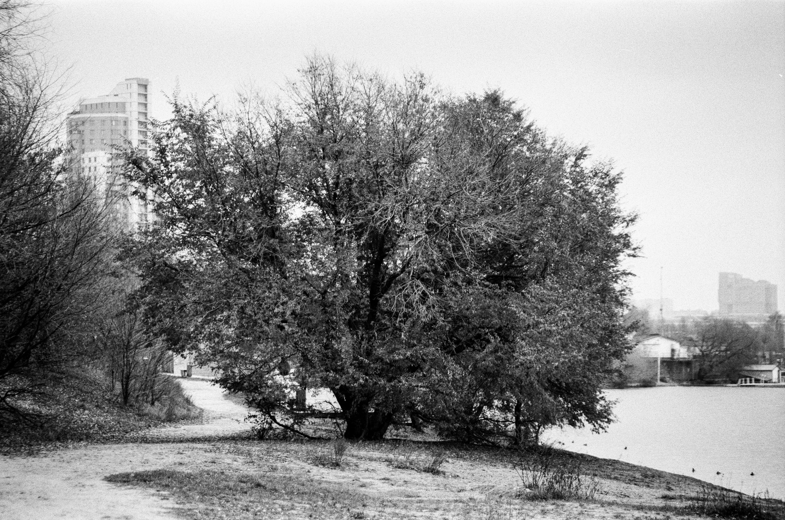 Nikon F80 — Voigtlander Ultron 28-105mm f2.8-3.8 / SFL T-42 ISO 400