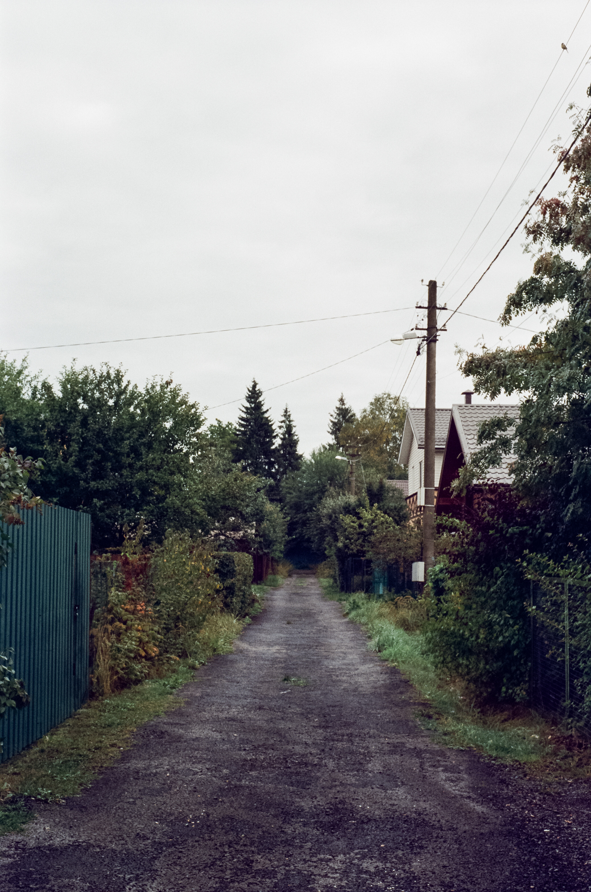 Kodak Retina IIIc — Retina Xenon C 50 mm f2.0 / Kodak Vision 3 250D