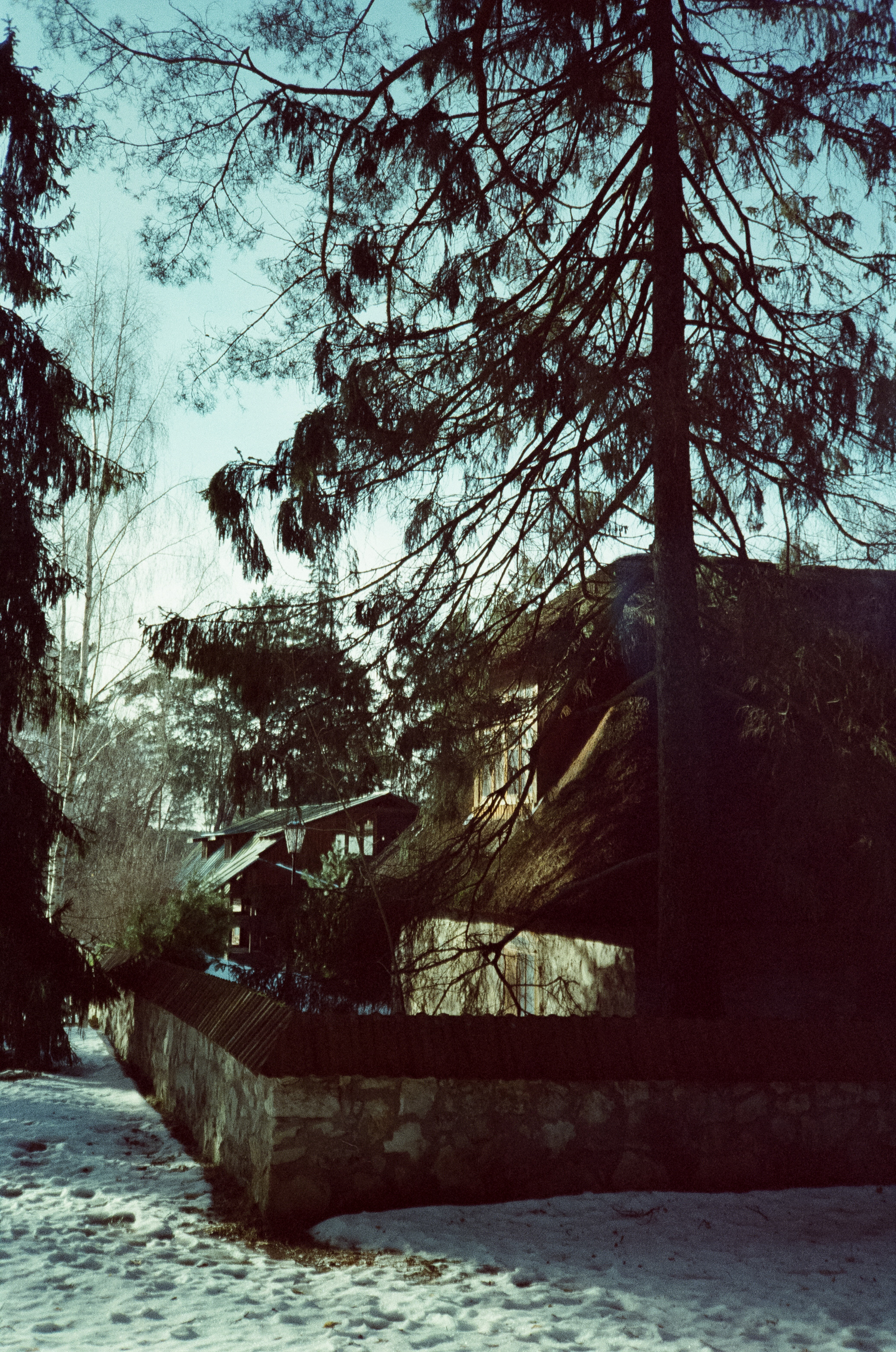 Примеры фотографий на Fuji DL-300 (Поленово)