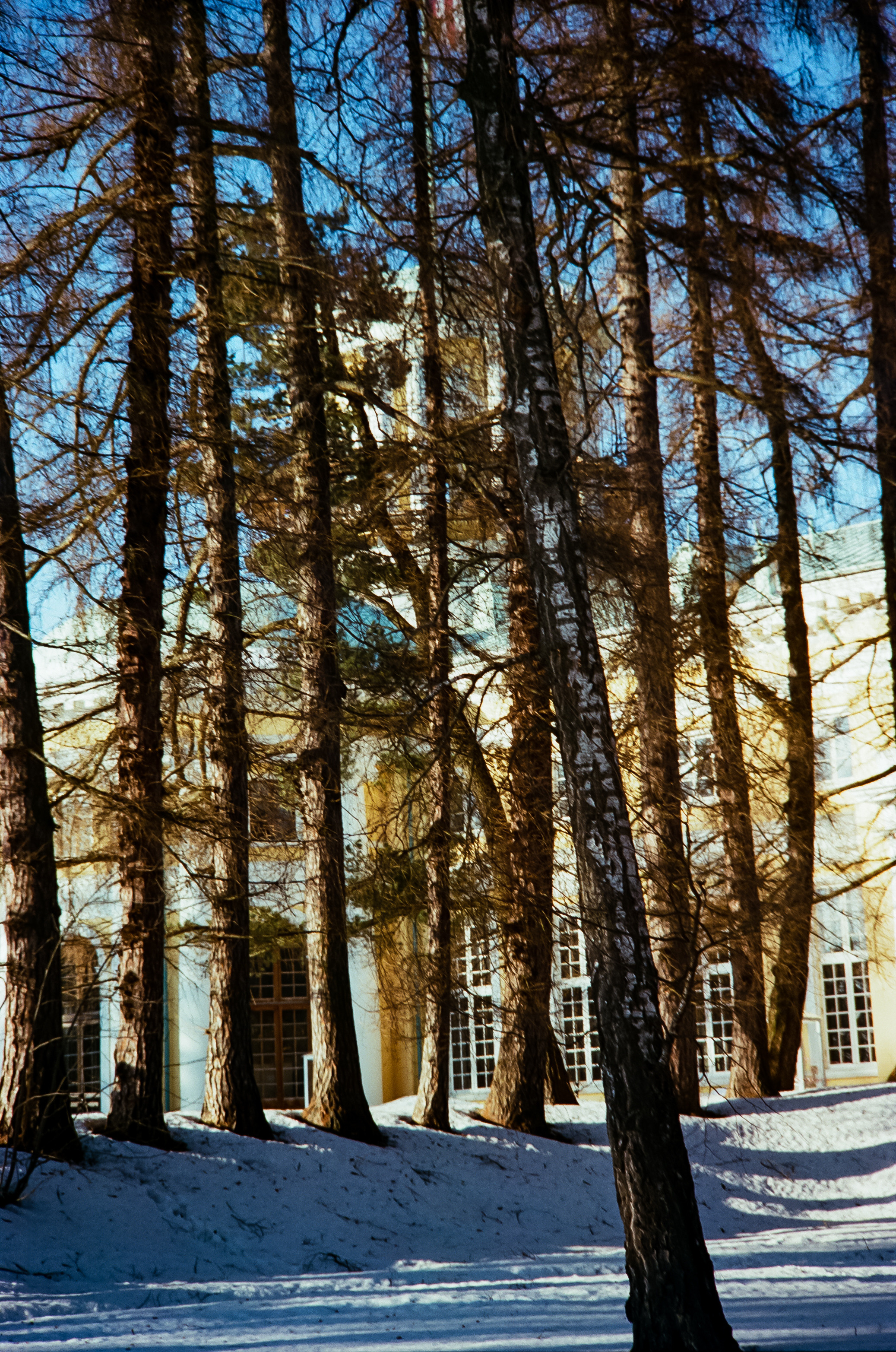 Kodak Retina Longar (Xenon C) 80mm f4 