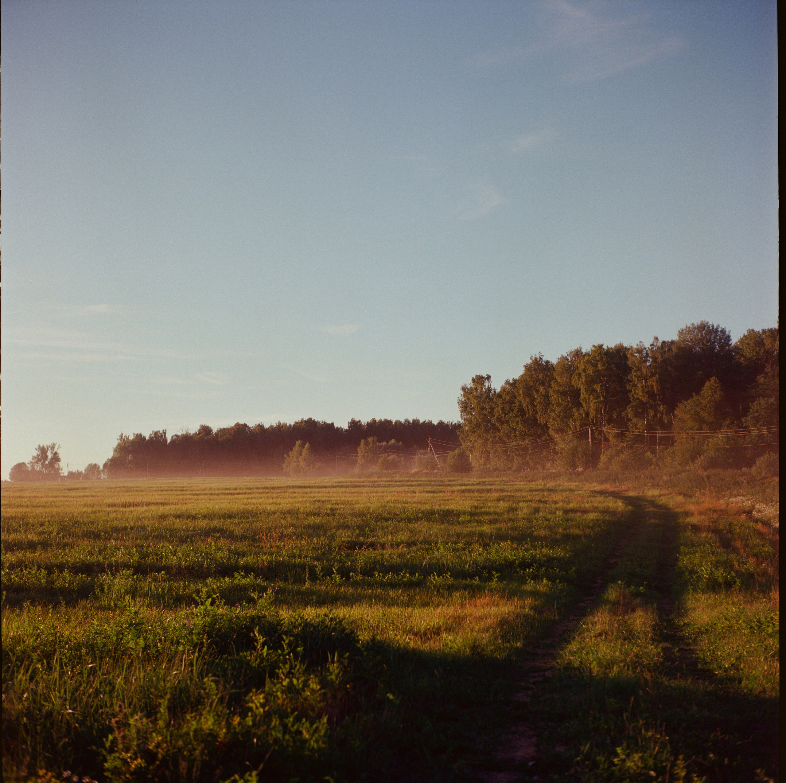 Закат на Kodak Ektar 100 и Yashica Mat-124