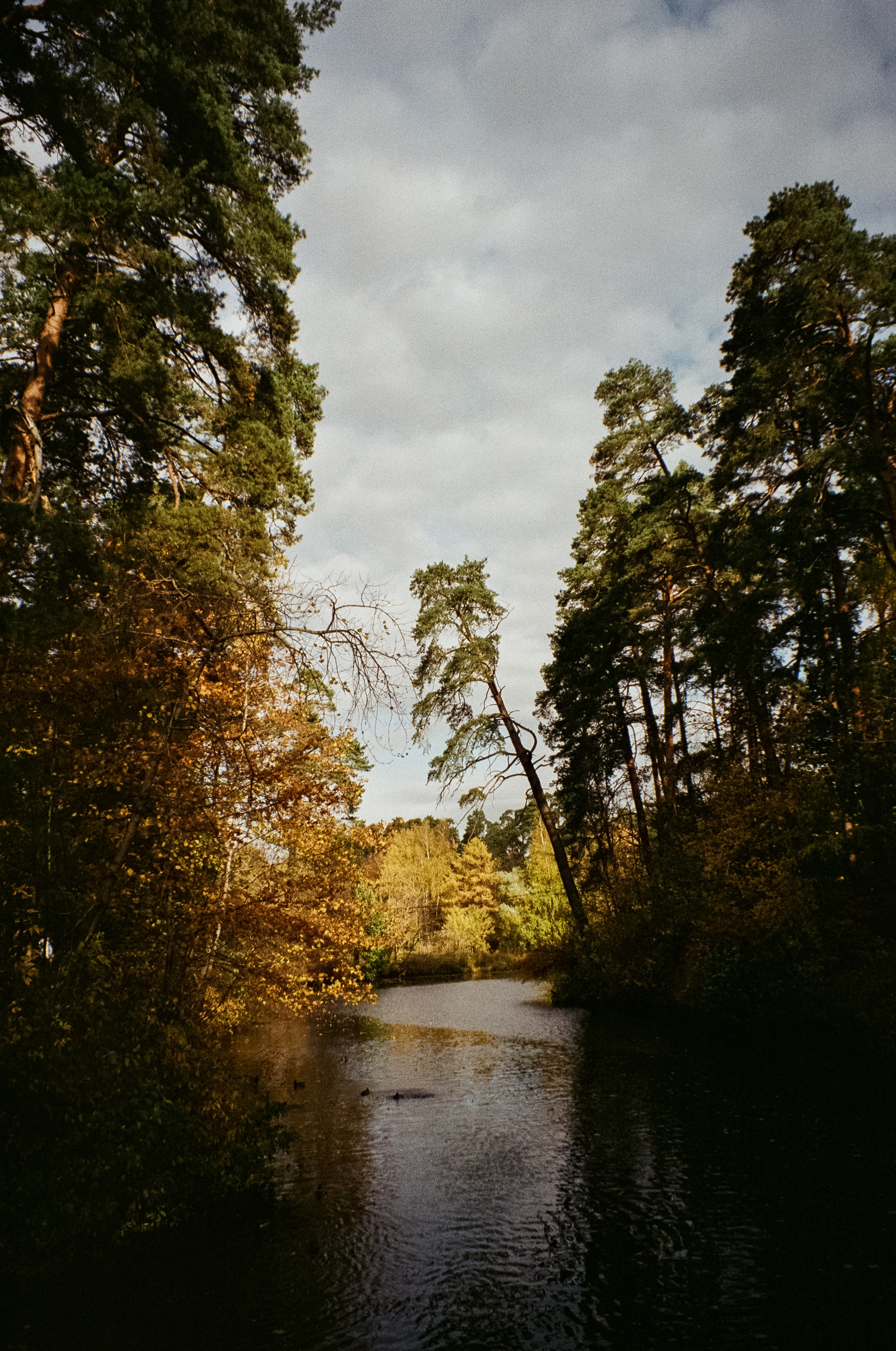 Осень на Kodak Gold 200