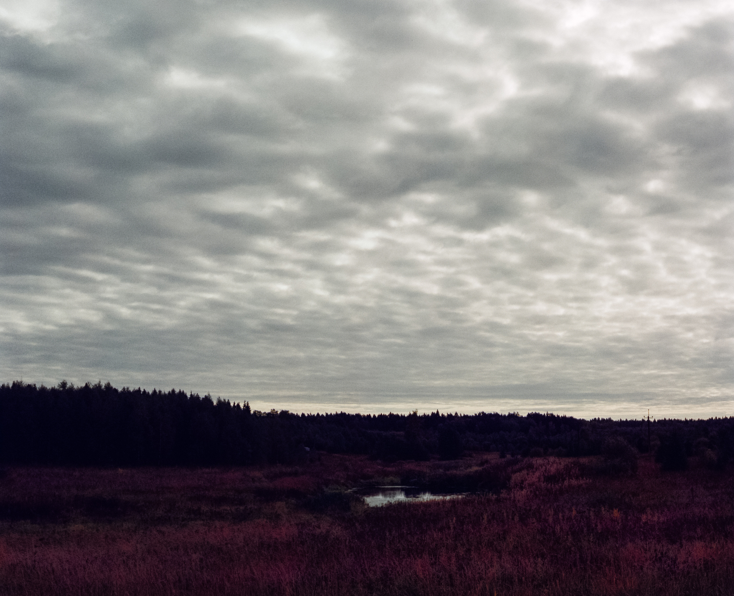 Kodak Retina IIIc — Retina Xenon C 50 mm f2.0 / Kodak Vision 3 250D