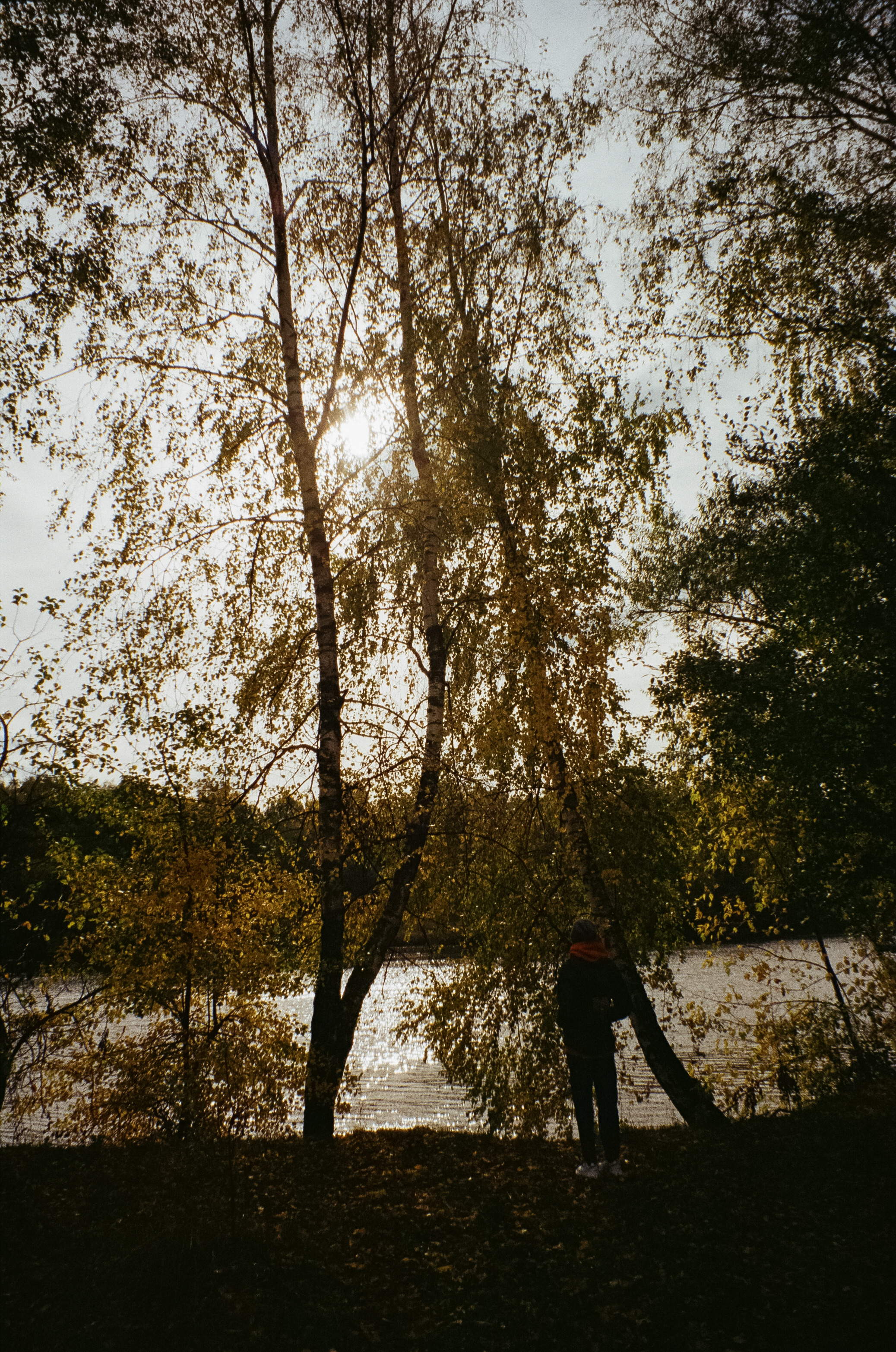 Осень на Kodak Gold 200