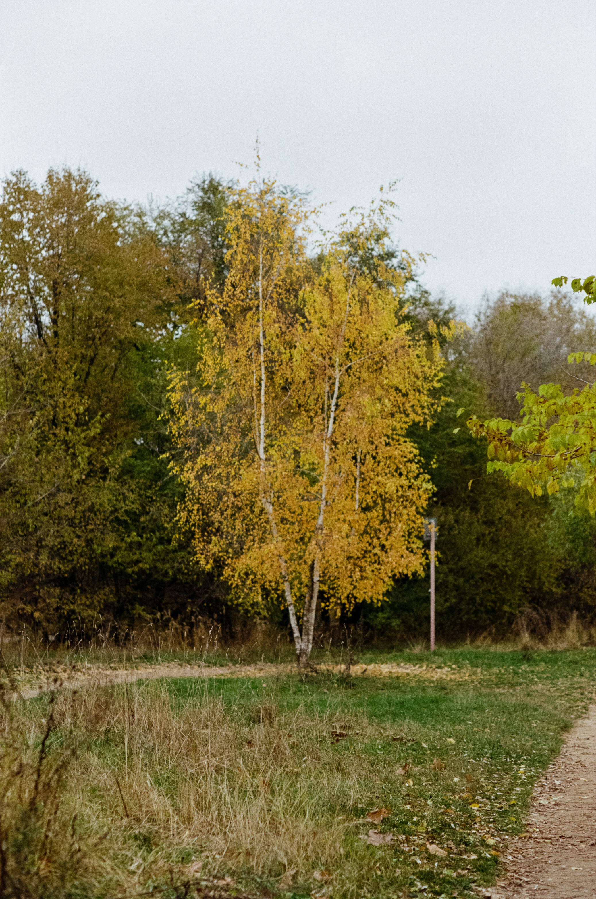 Московская осень на Kodak Gold 200
