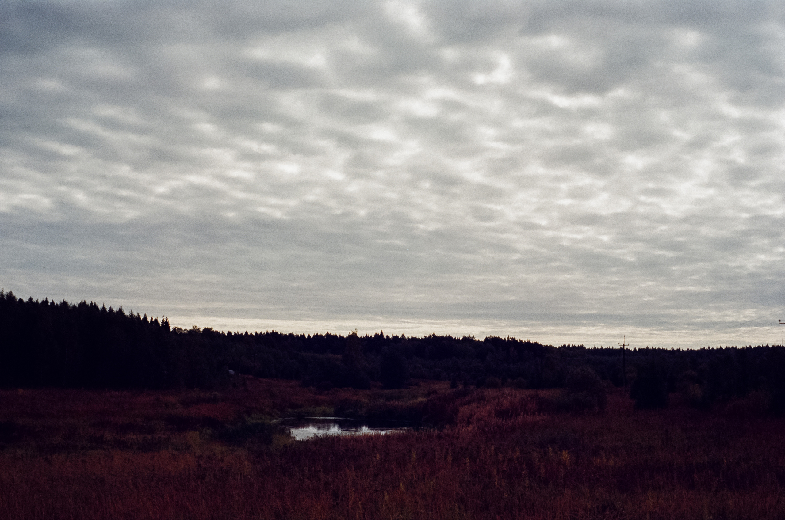 Kodak Retina IIIc — Retina Xenon C 50 mm f2.0 / Kodak Vision 3 250D