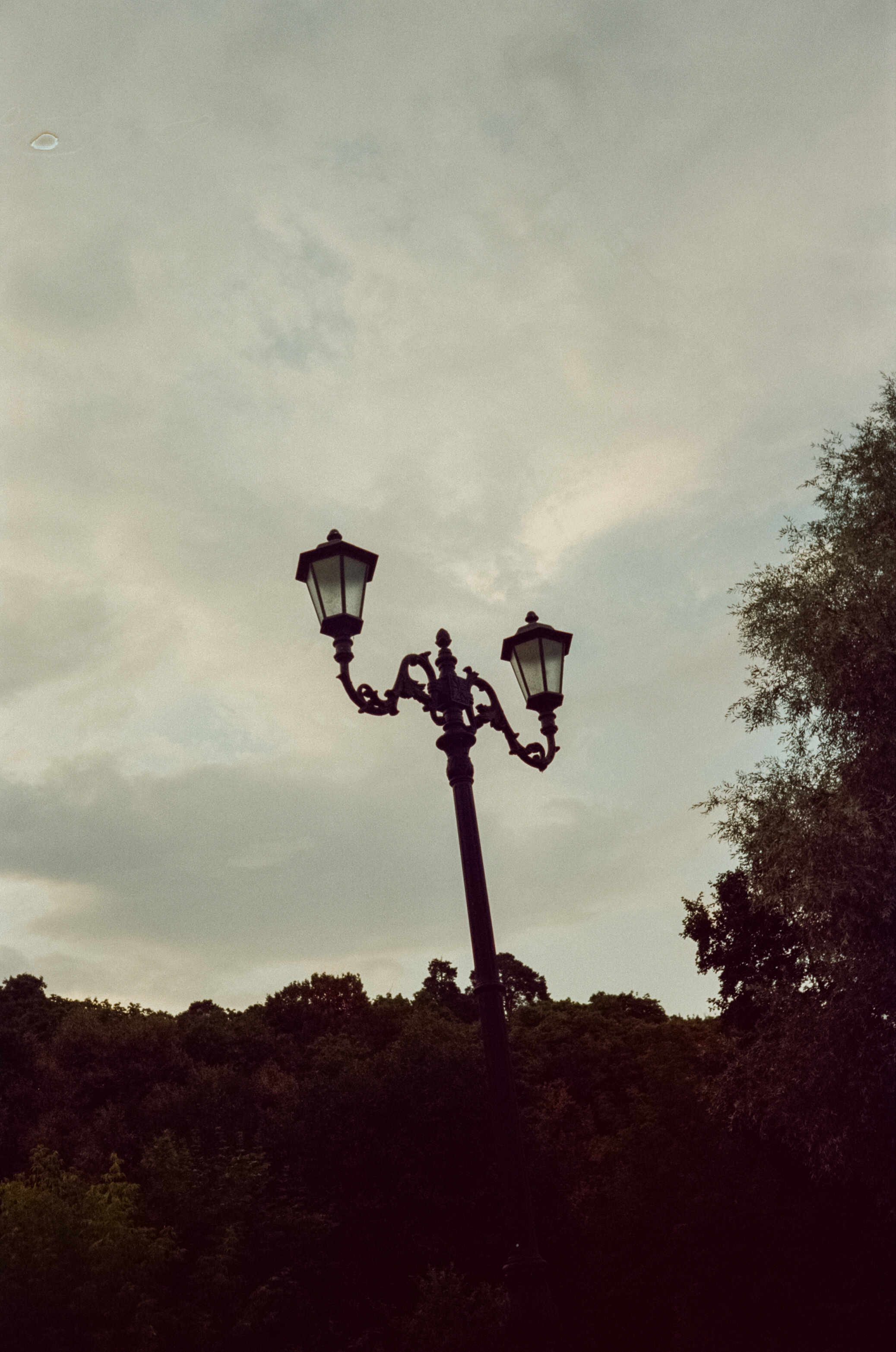 Canon Canonet QL17 G-III QL / Kodak Vision 3 250D