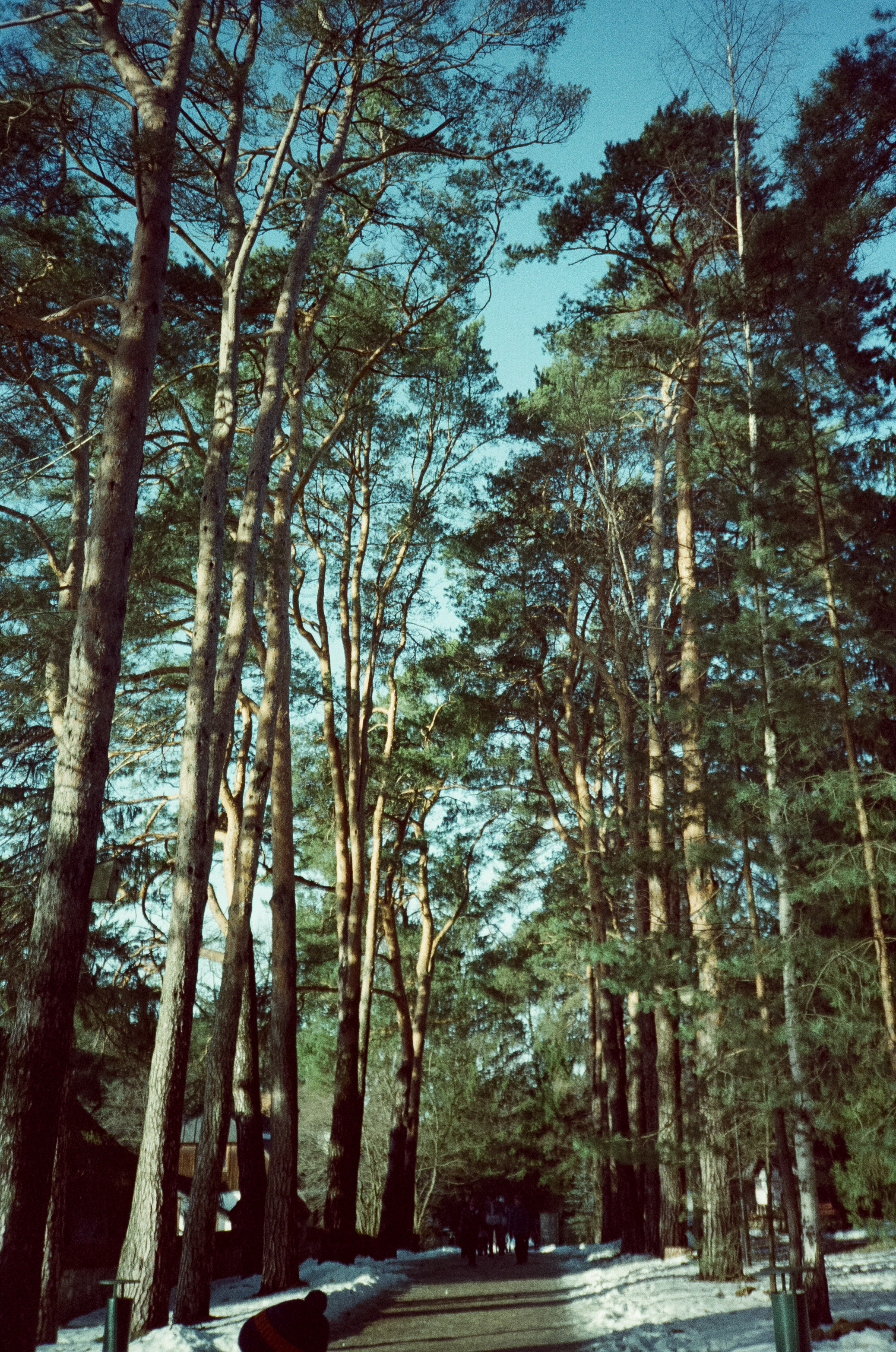 Примеры фотографий на Fuji DL-300 (Поленово)