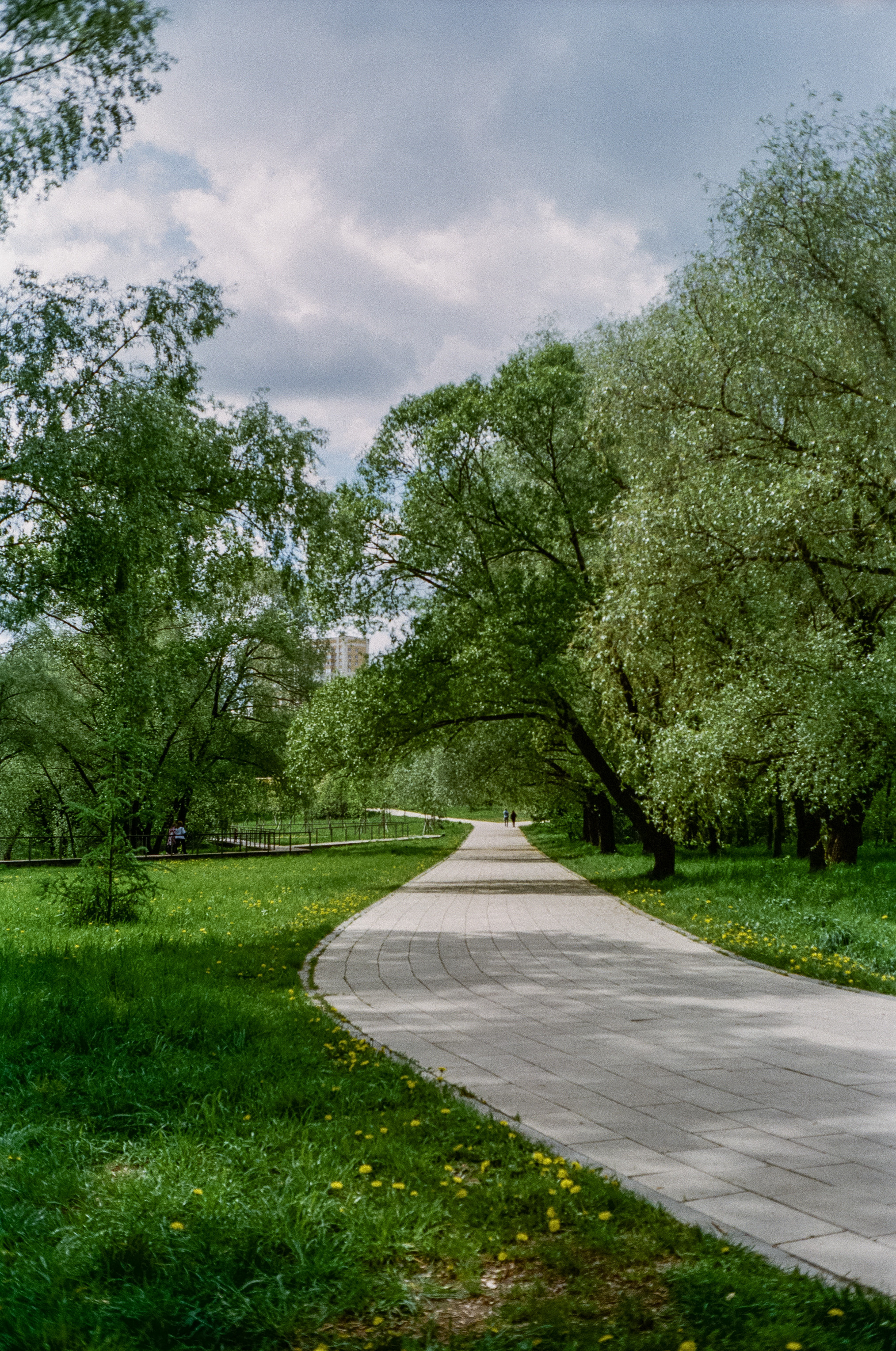 Minolta Hi-Matic 7sII