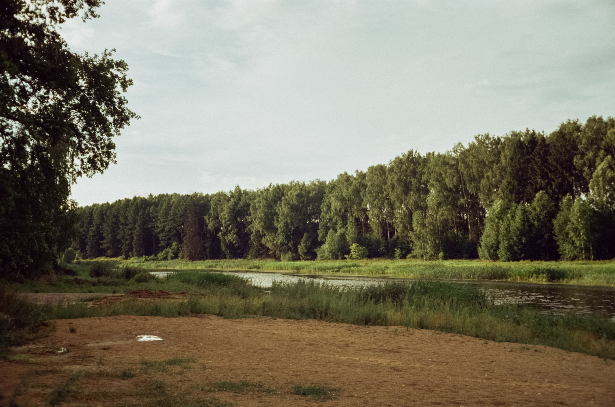 Canon Canonet QL17 G-III QL