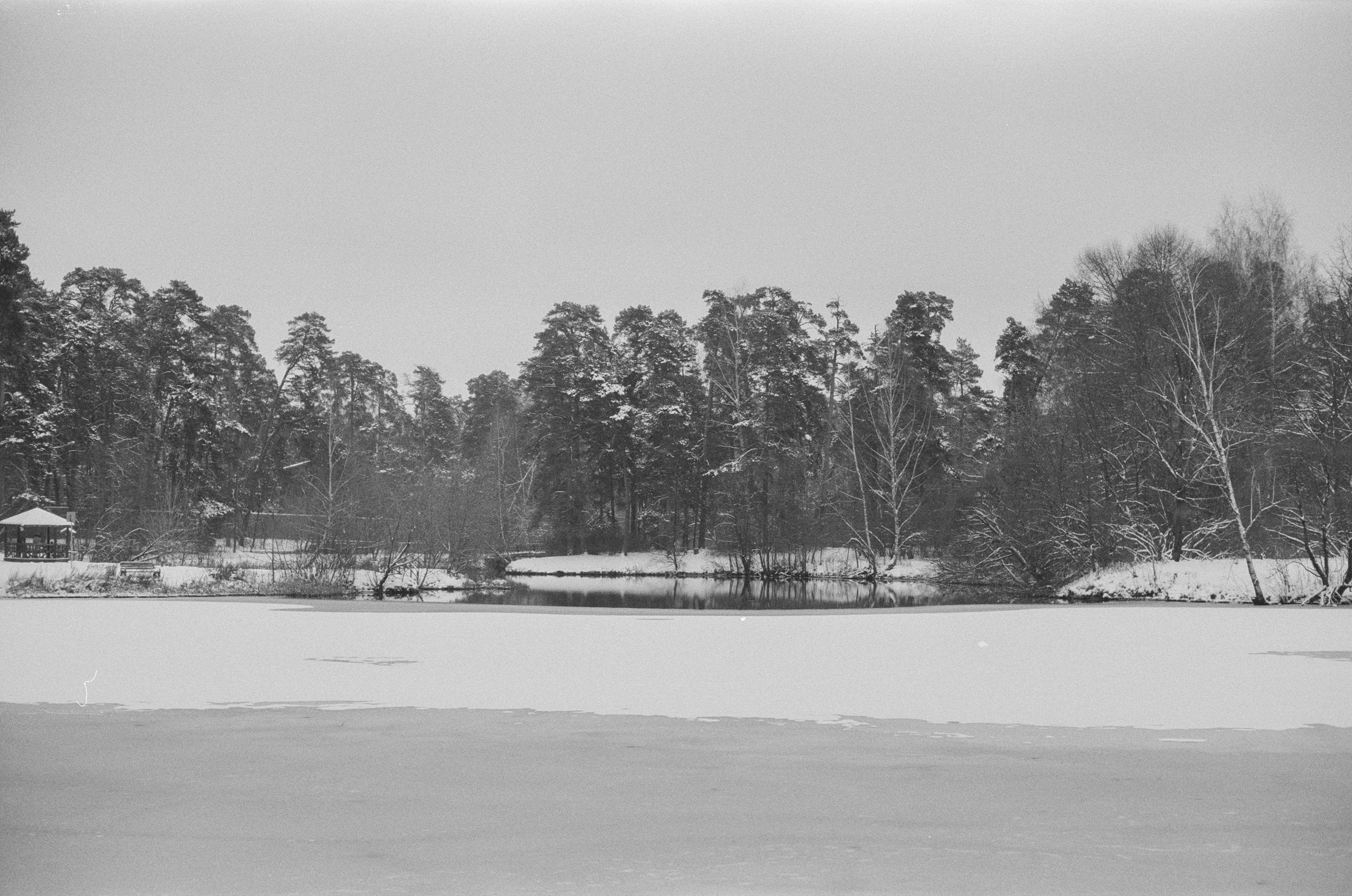 Konica III M / AgfaPhoto APX 400