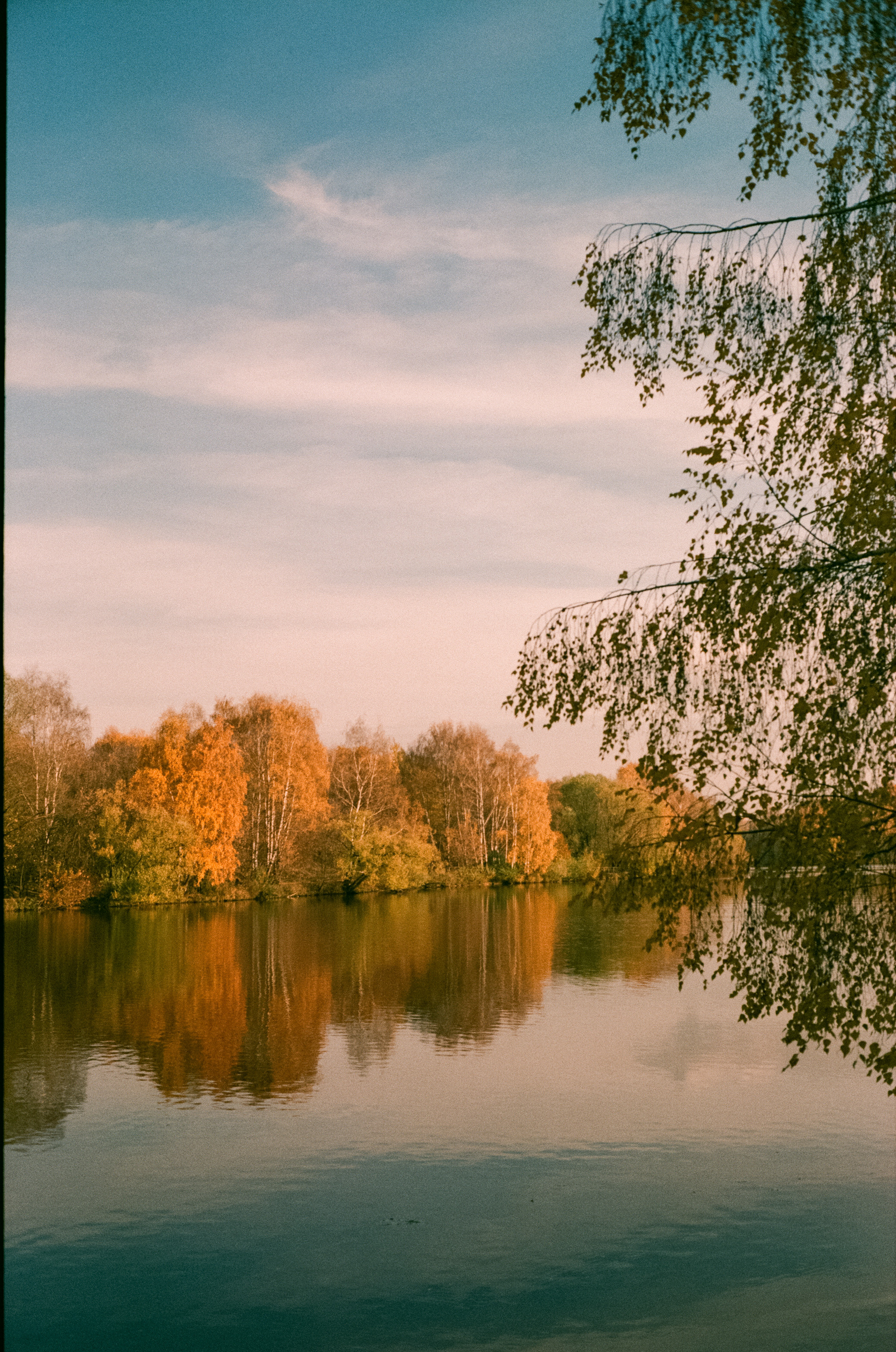 Minolta Hi-Matic 7sII примеры фотографий