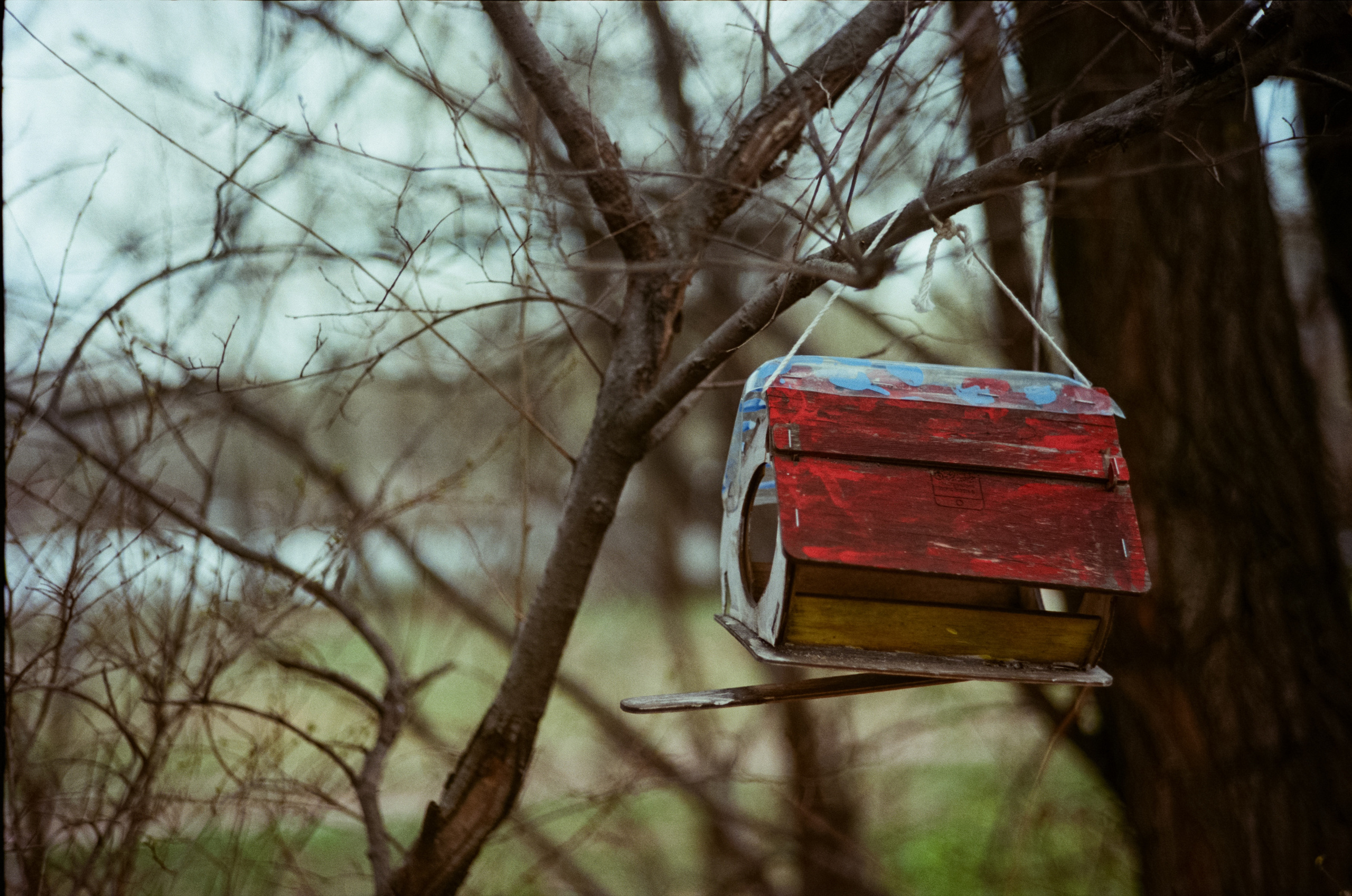 Kodak Portra 160 / Walz Envoy 35