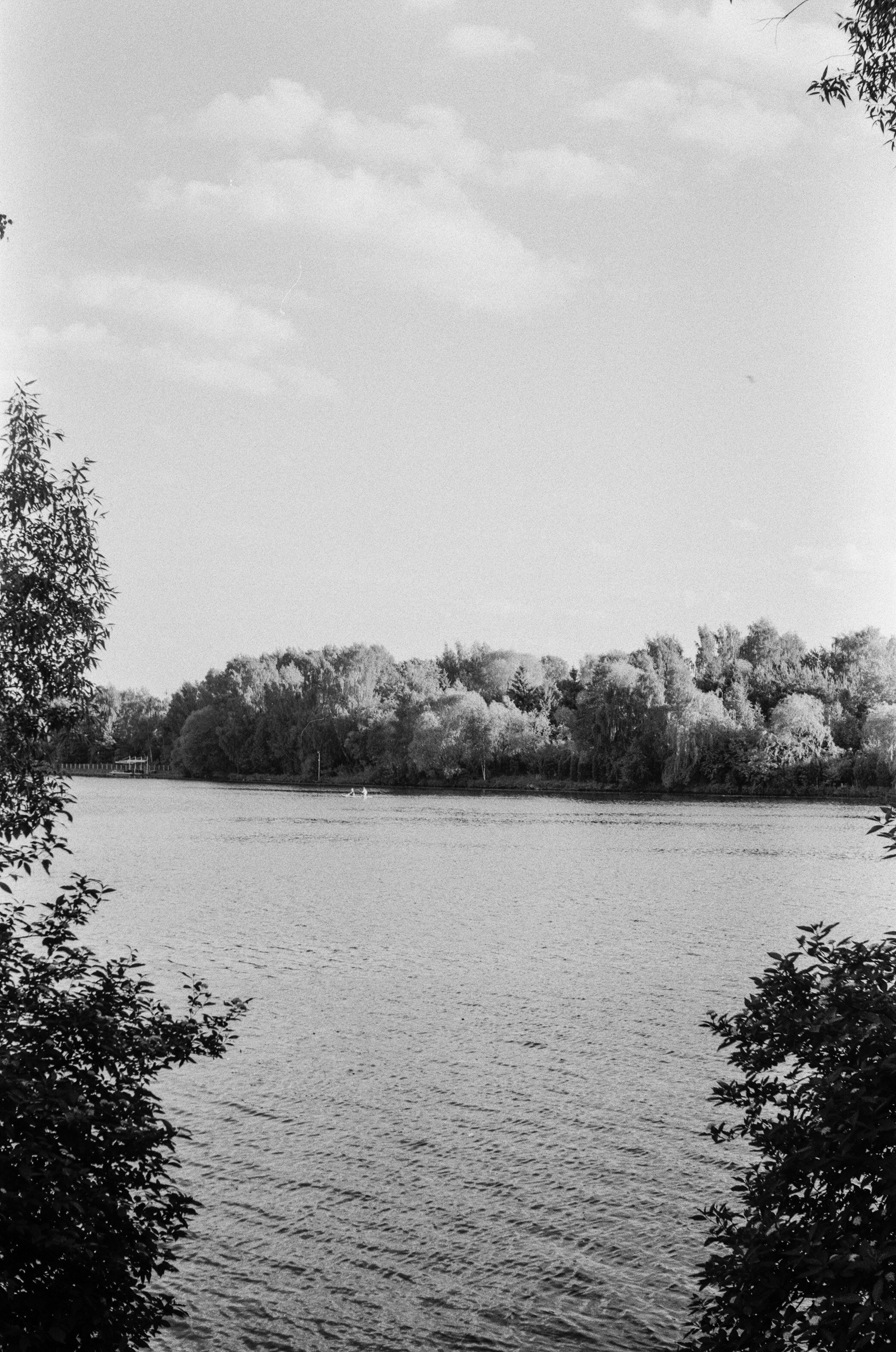 Schneider Xenon 50mm f2.0