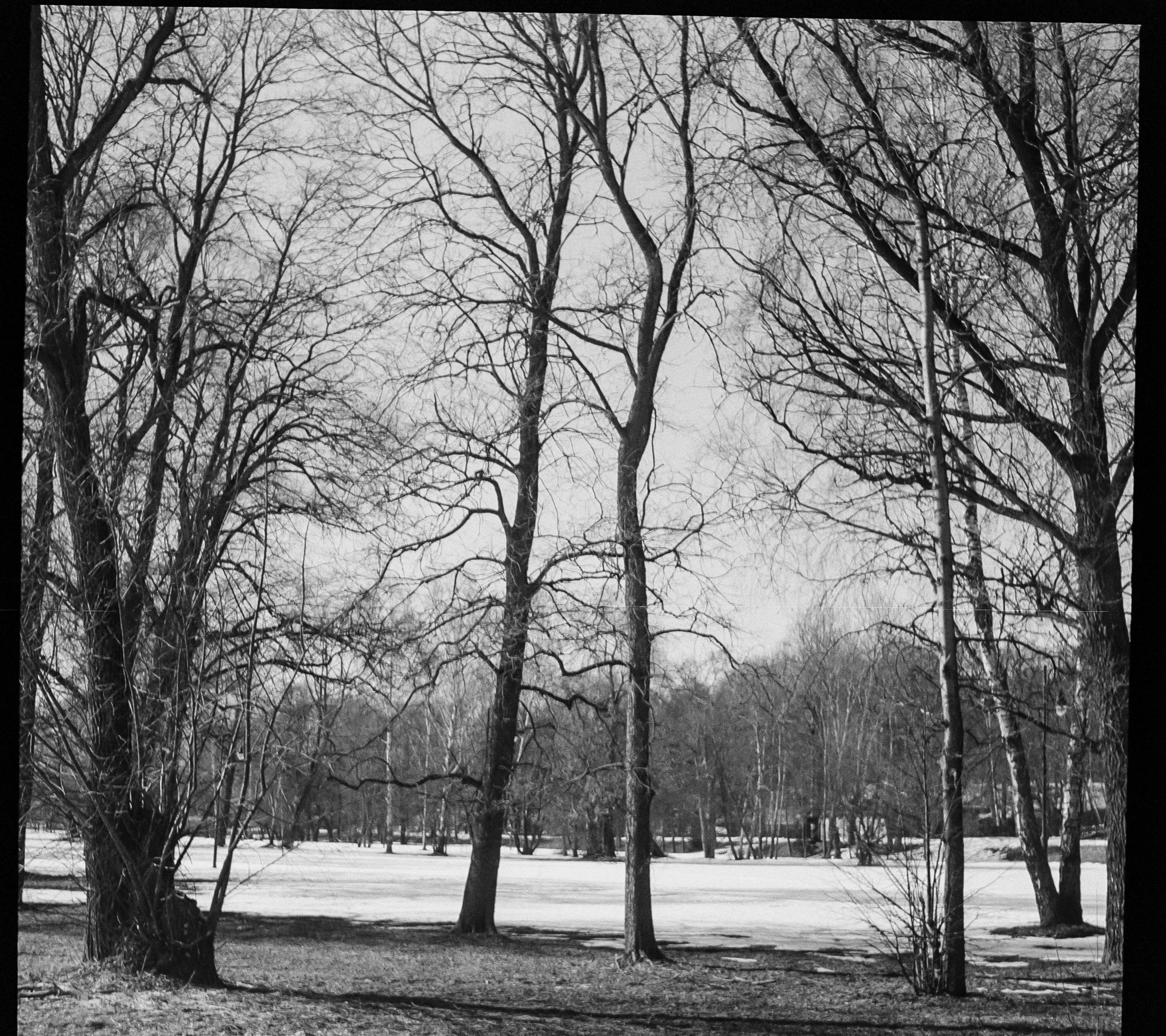 SFL UN 54 BW / Zeiss Ikon Tenax