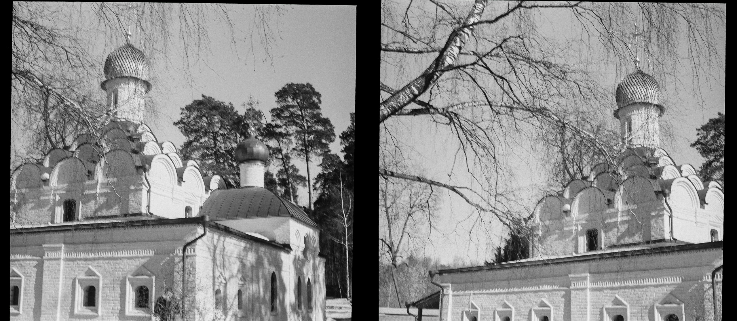 SFL UN 54 BW / Zeiss Ikon Tenax