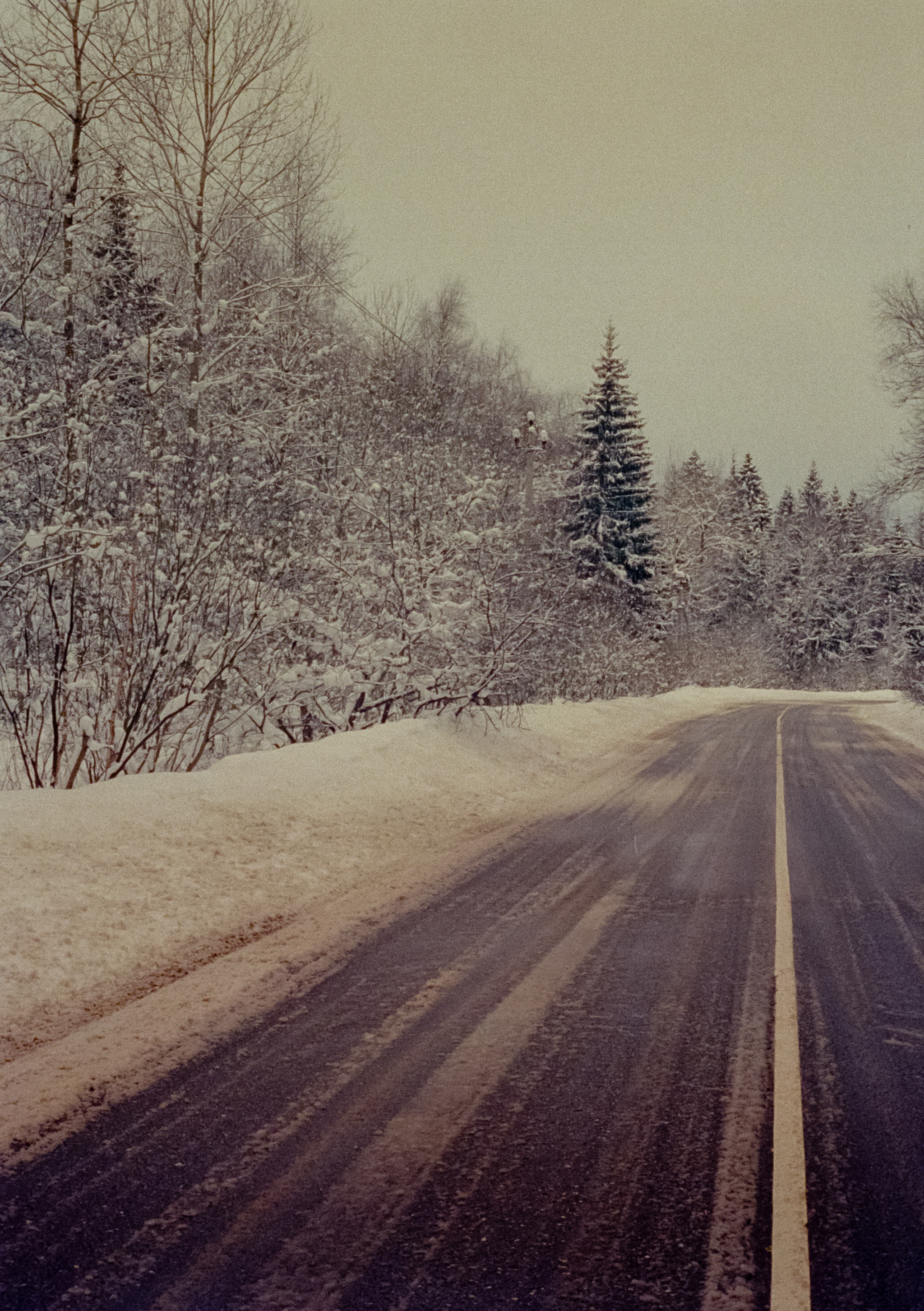 Olympus Pen EED / Kodak Vision 3 500T