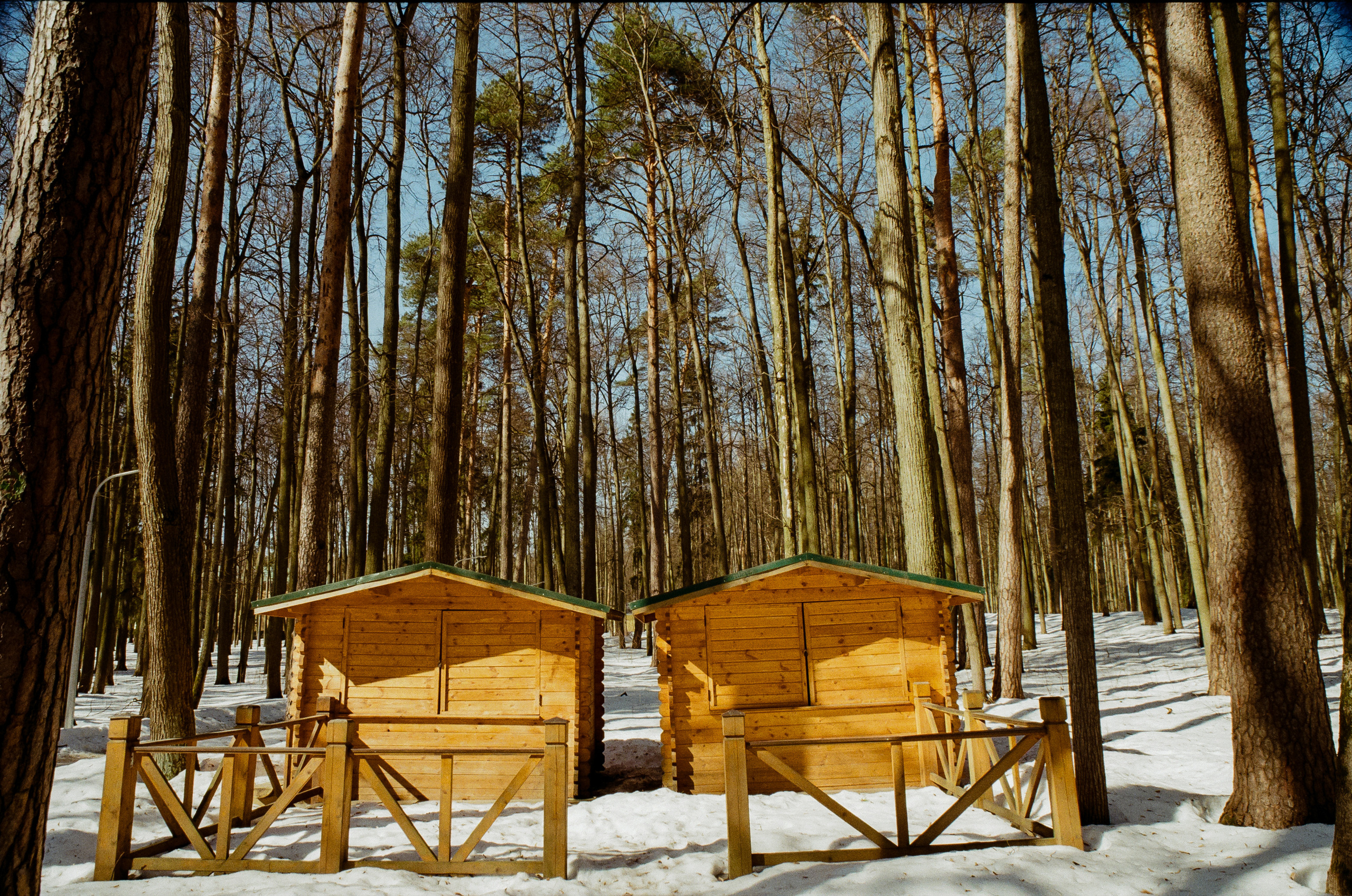 Kodak Ektar 100 / Contax N1