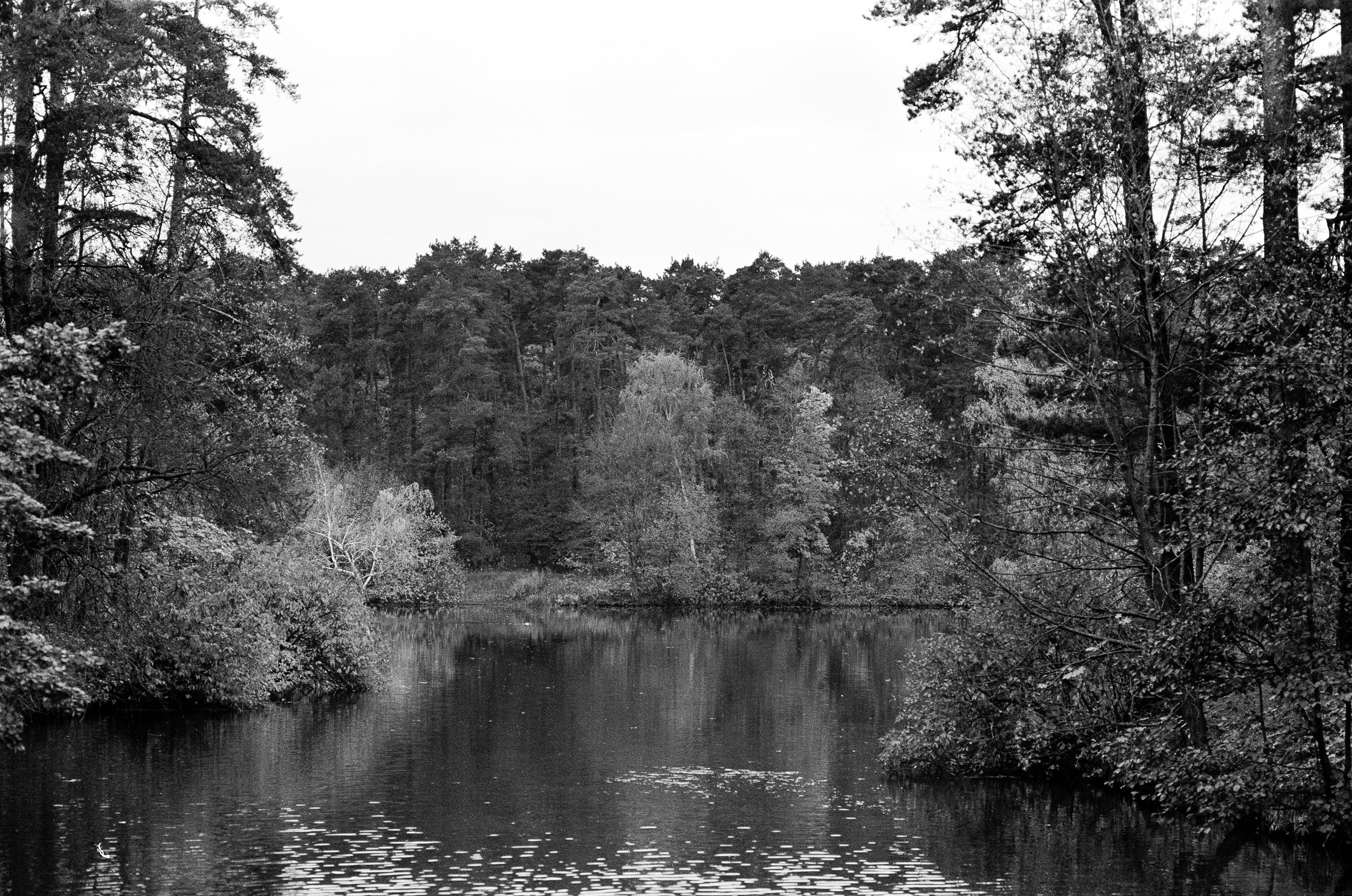 Minolta AF 85 mm f1.4 — Minolta Dynax 800si / Ilford HP5 Plus 400