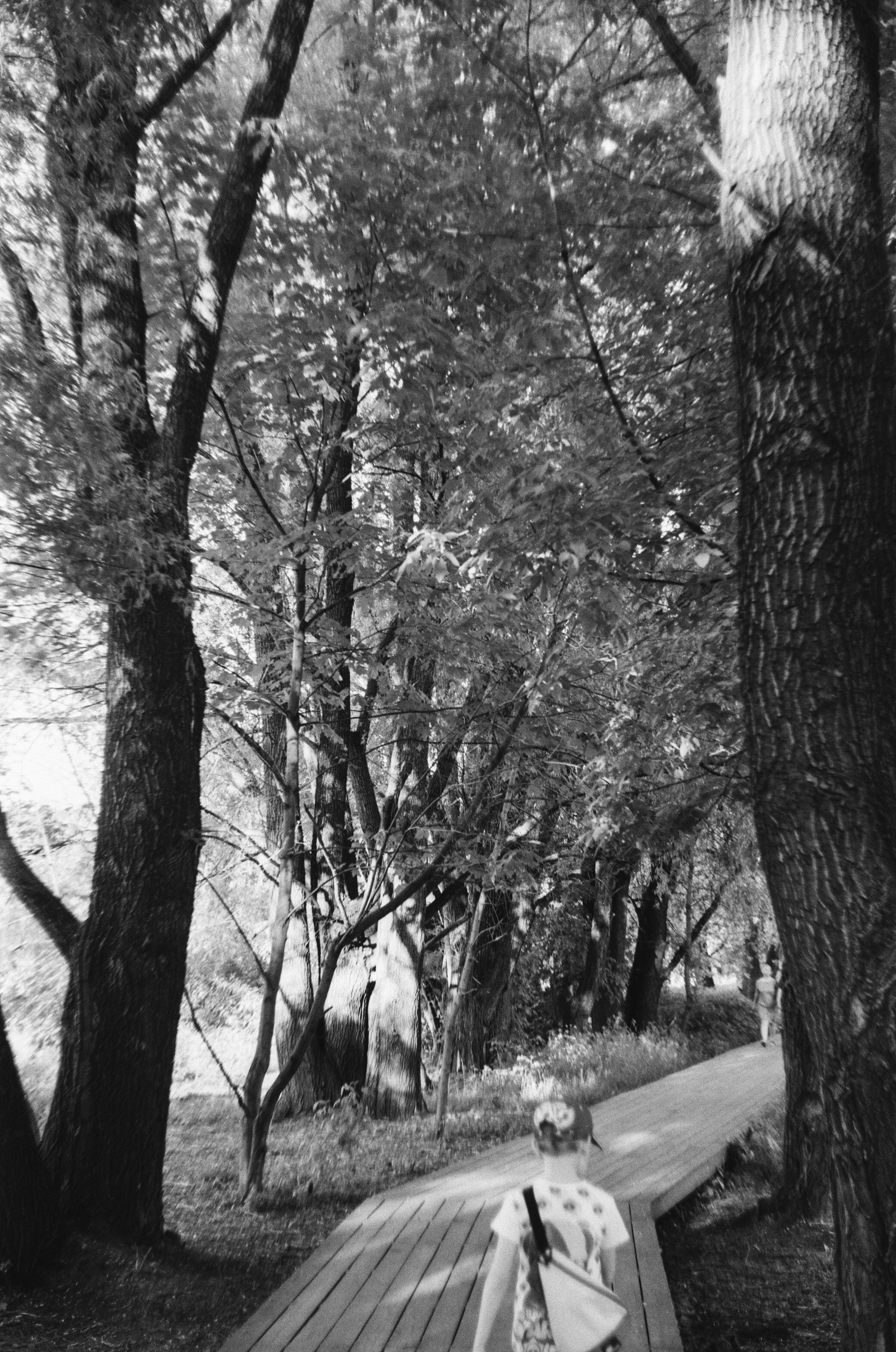 Schneider Xenon 50mm f2.0