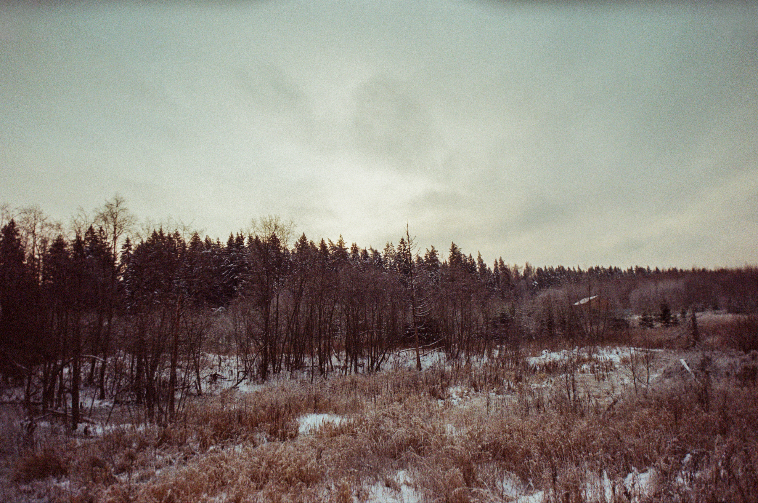 Contax N1 — Carl Zeiss Vario-Sonnar 24-85mm / Kodak Color 200