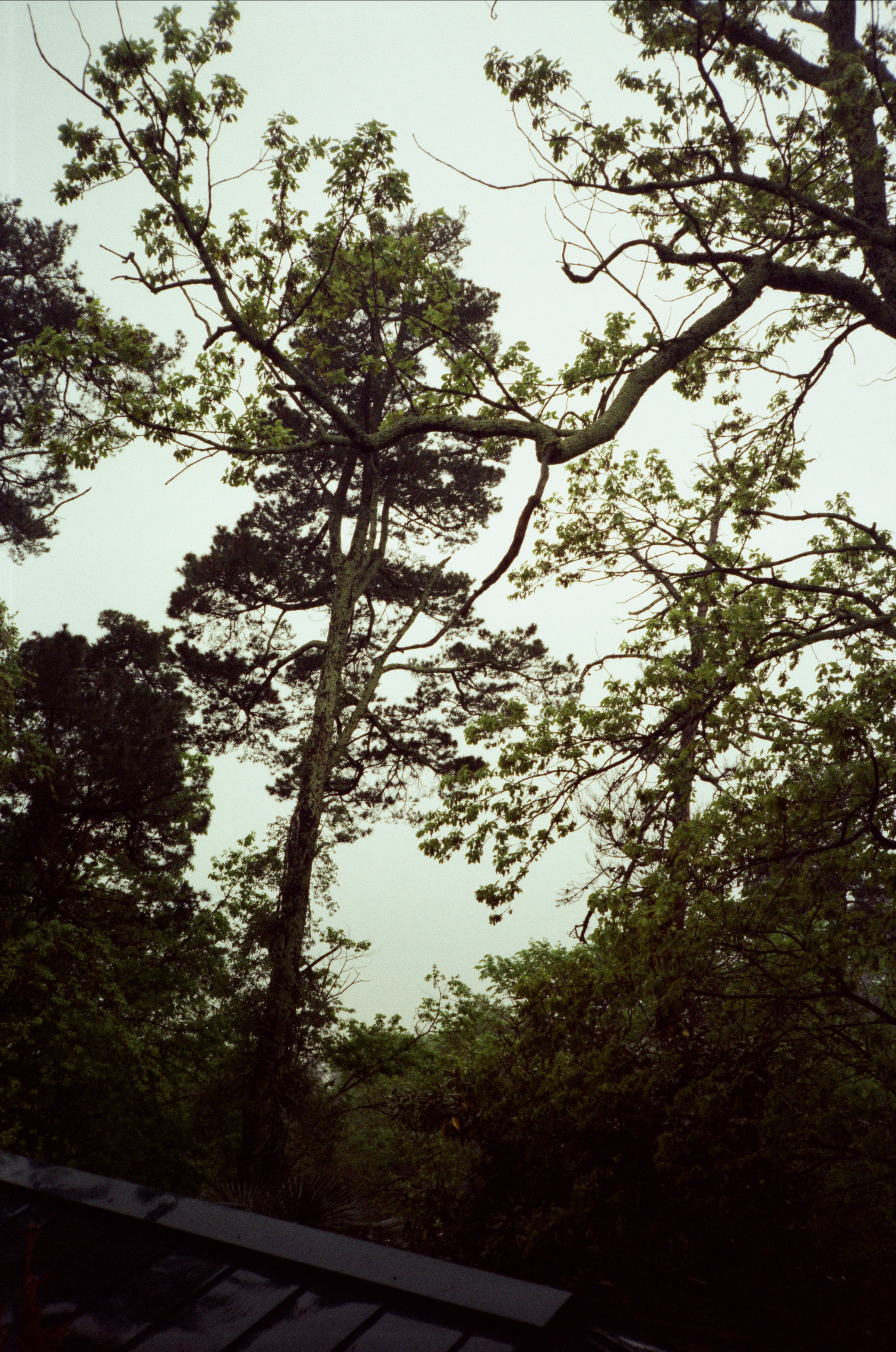 Дача Сталина и закаты в Сочи / Revue 35 CC