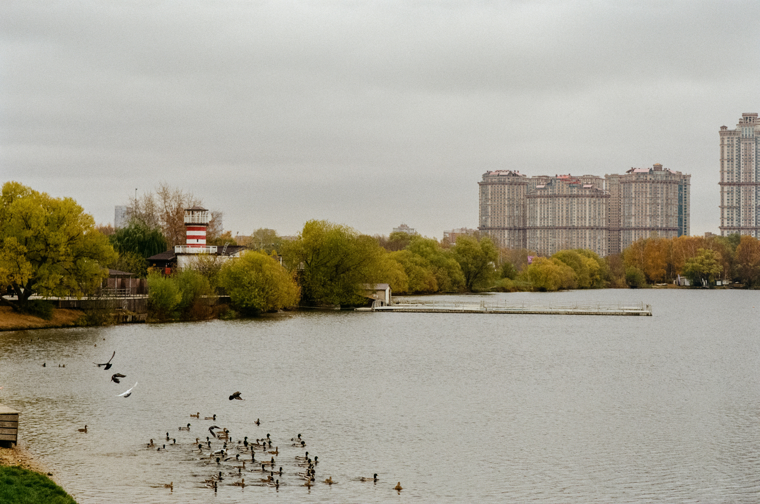 Московская осень на Kodak Gold 200