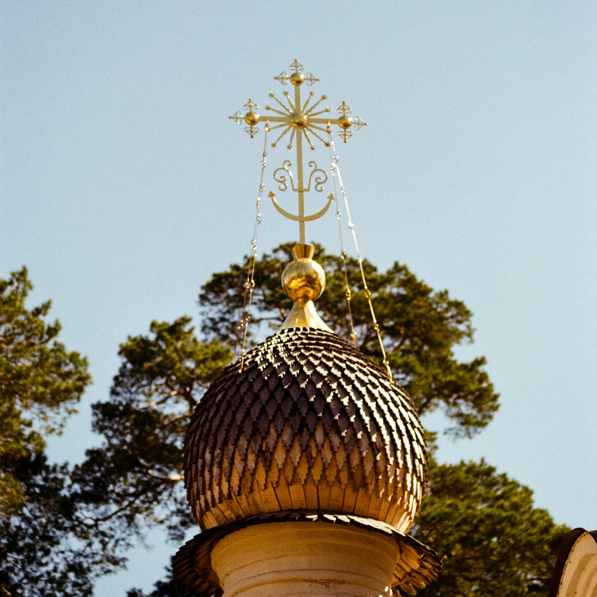 Carl Zeiss Makro-Sonnar 100mm f2.8