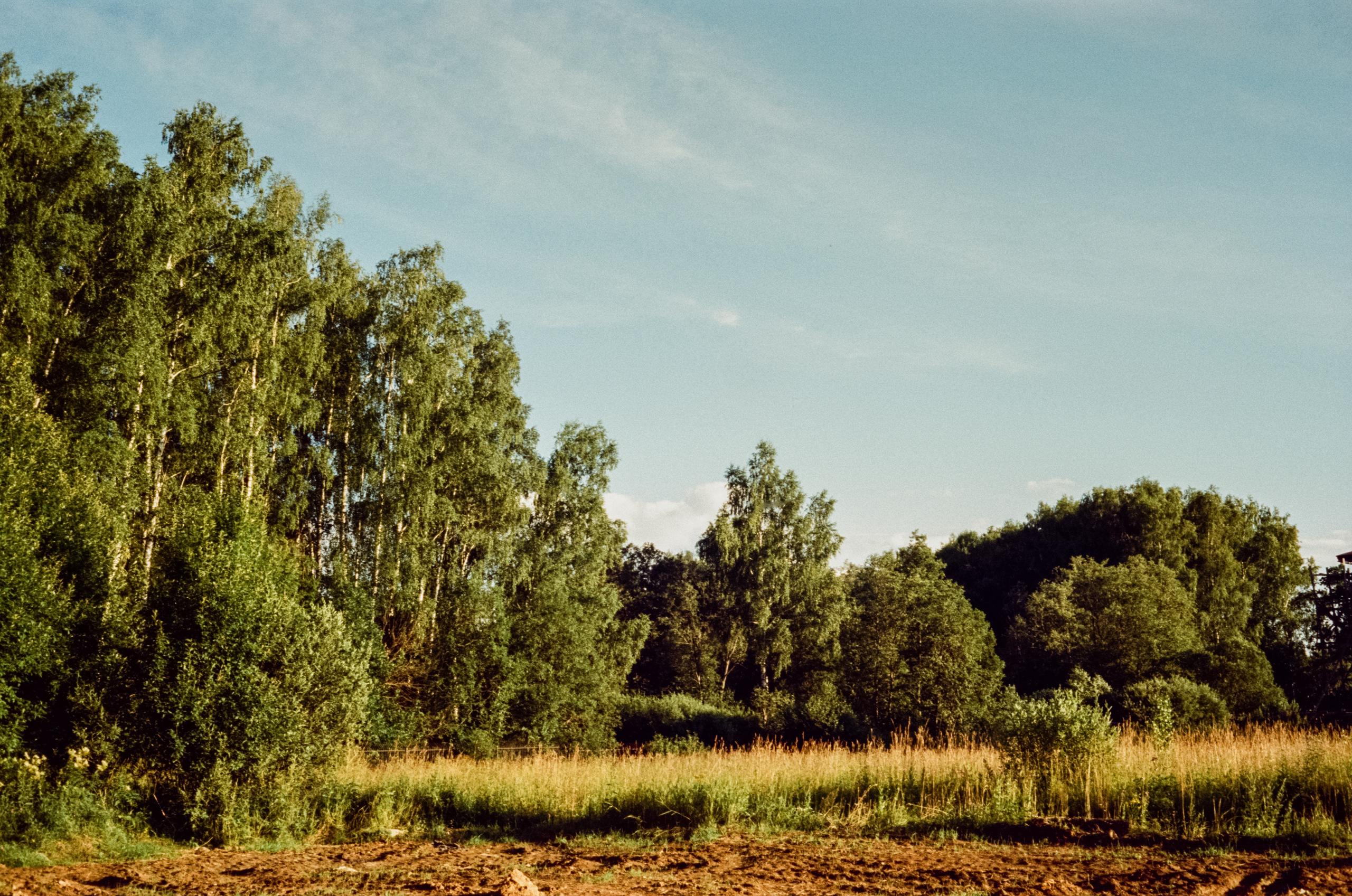 Canon Canonet QL17 G-III QL