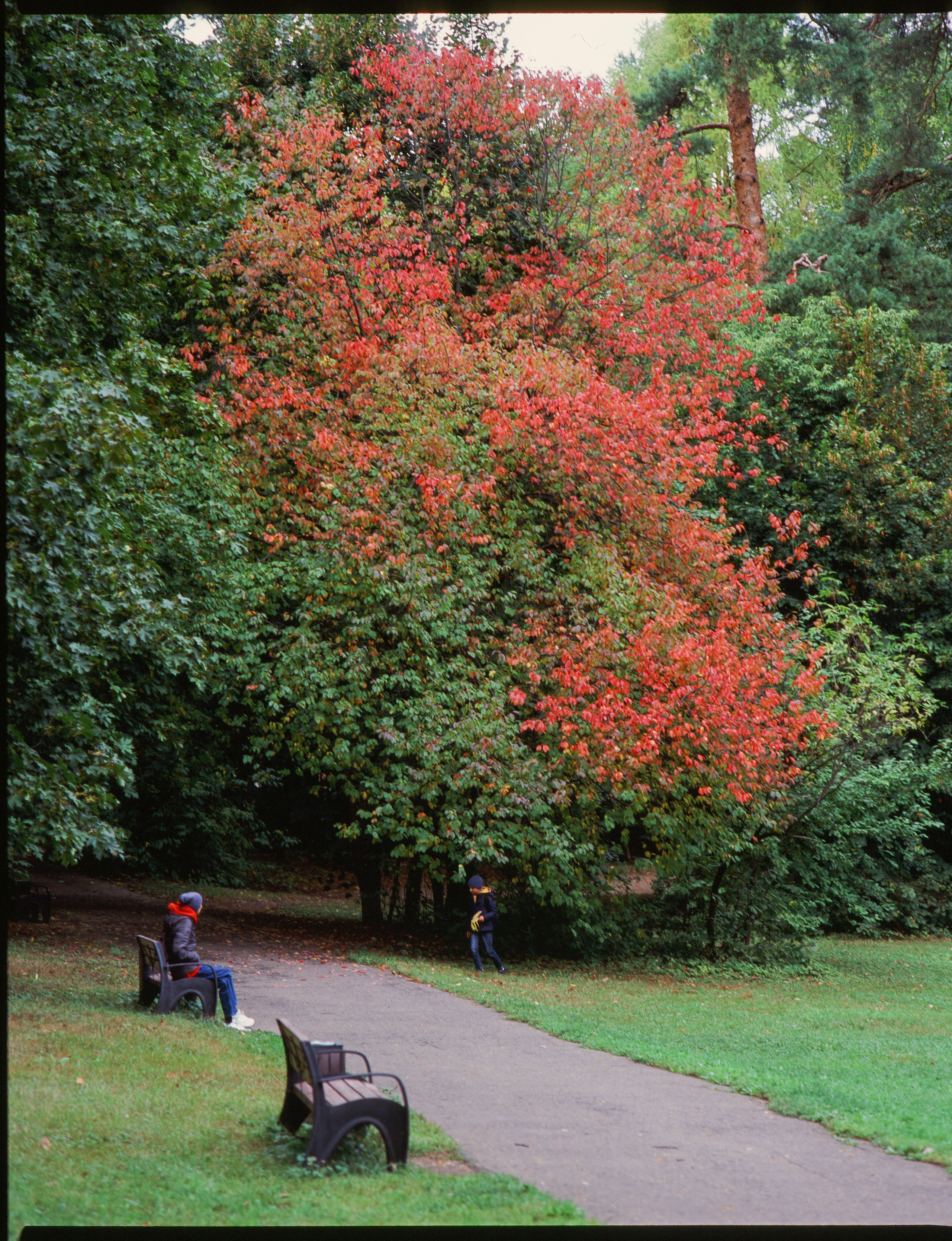 Zenza Bronica ETR — Zenzanon 150 f3.5 / Fujichrome Velvia 100