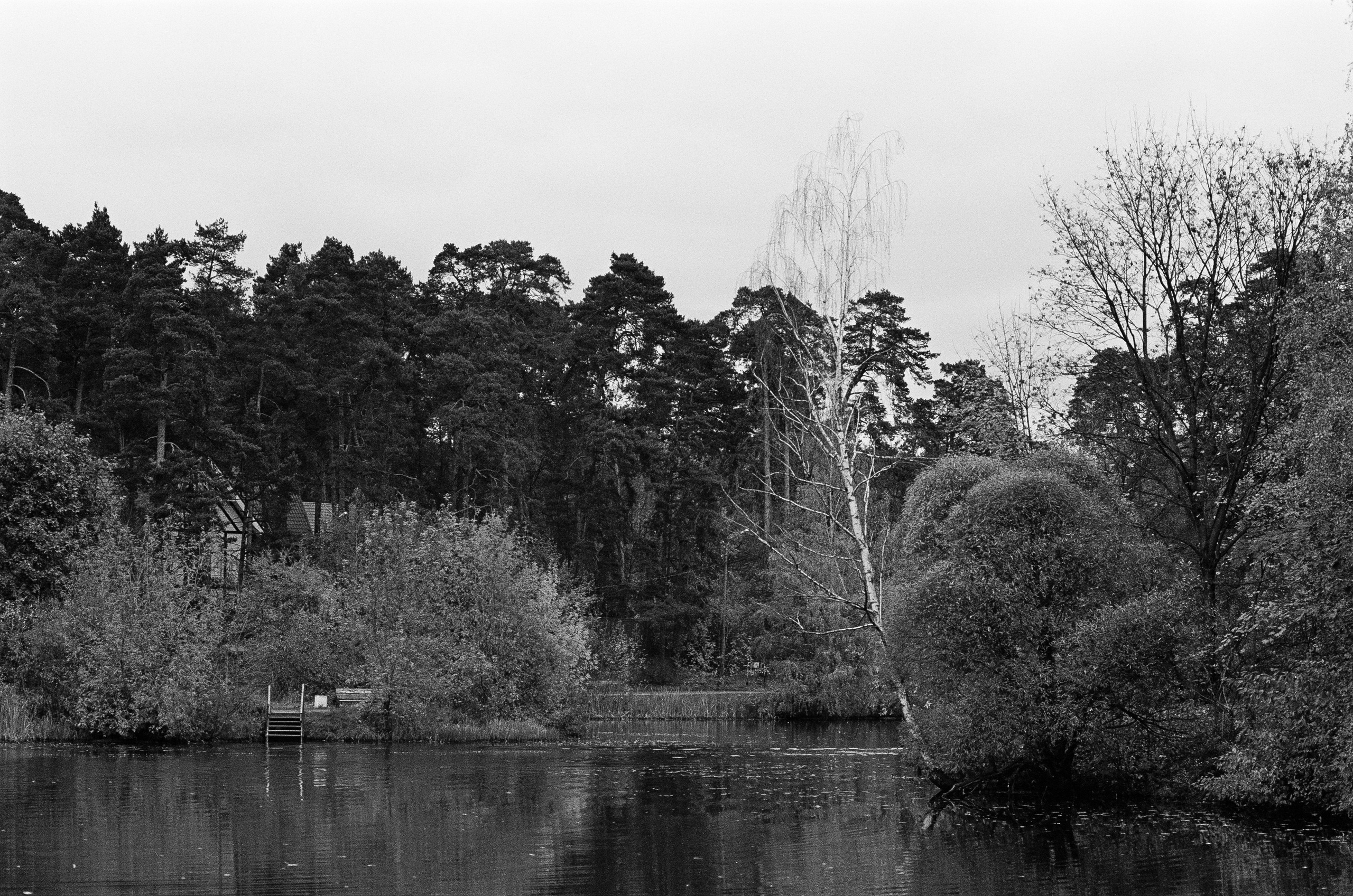Minolta AF 85 mm f1.4 — Minolta Dynax 800si / Ilford HP5 Plus 400