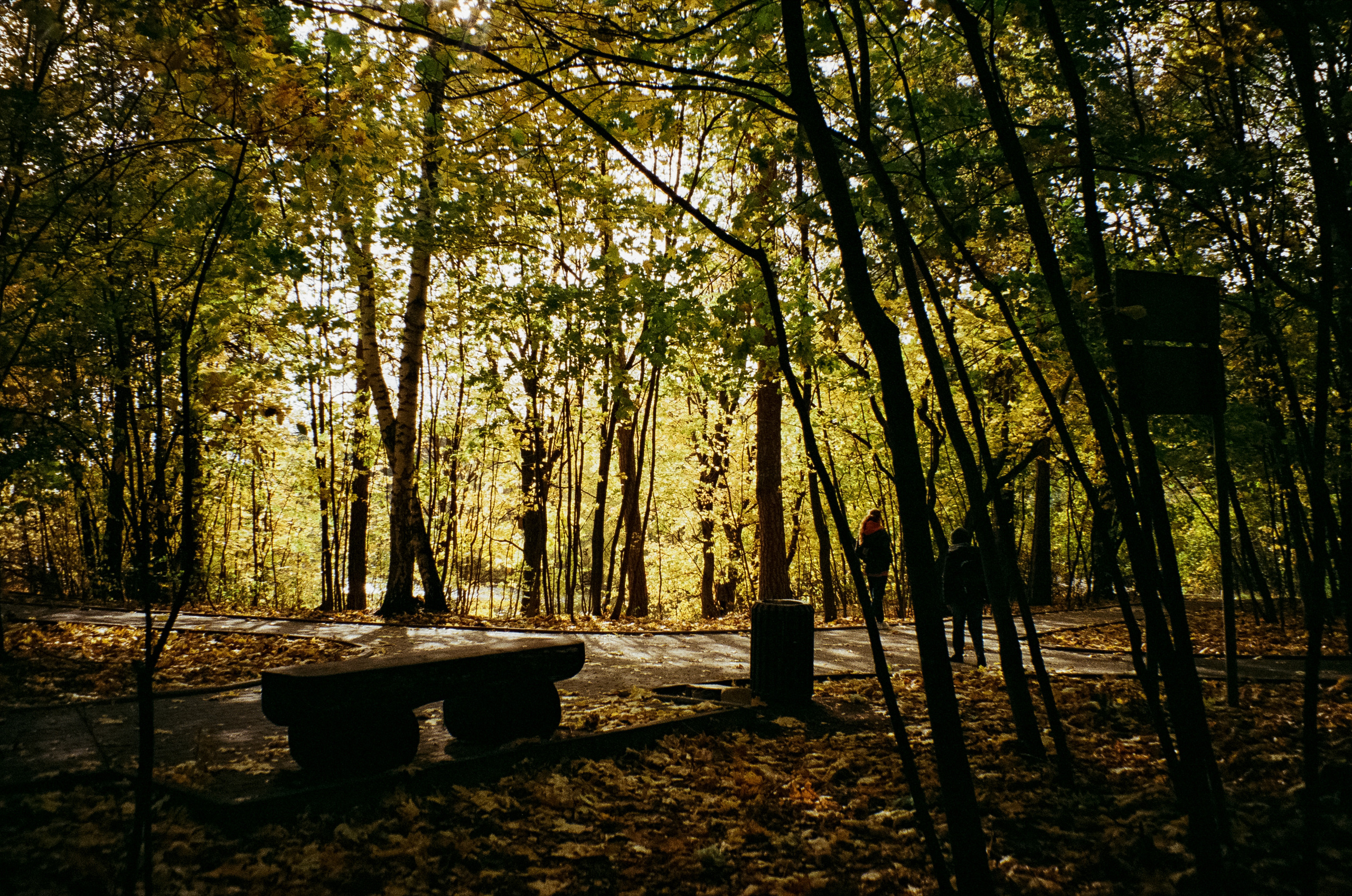 Осень на Kodak Gold 200