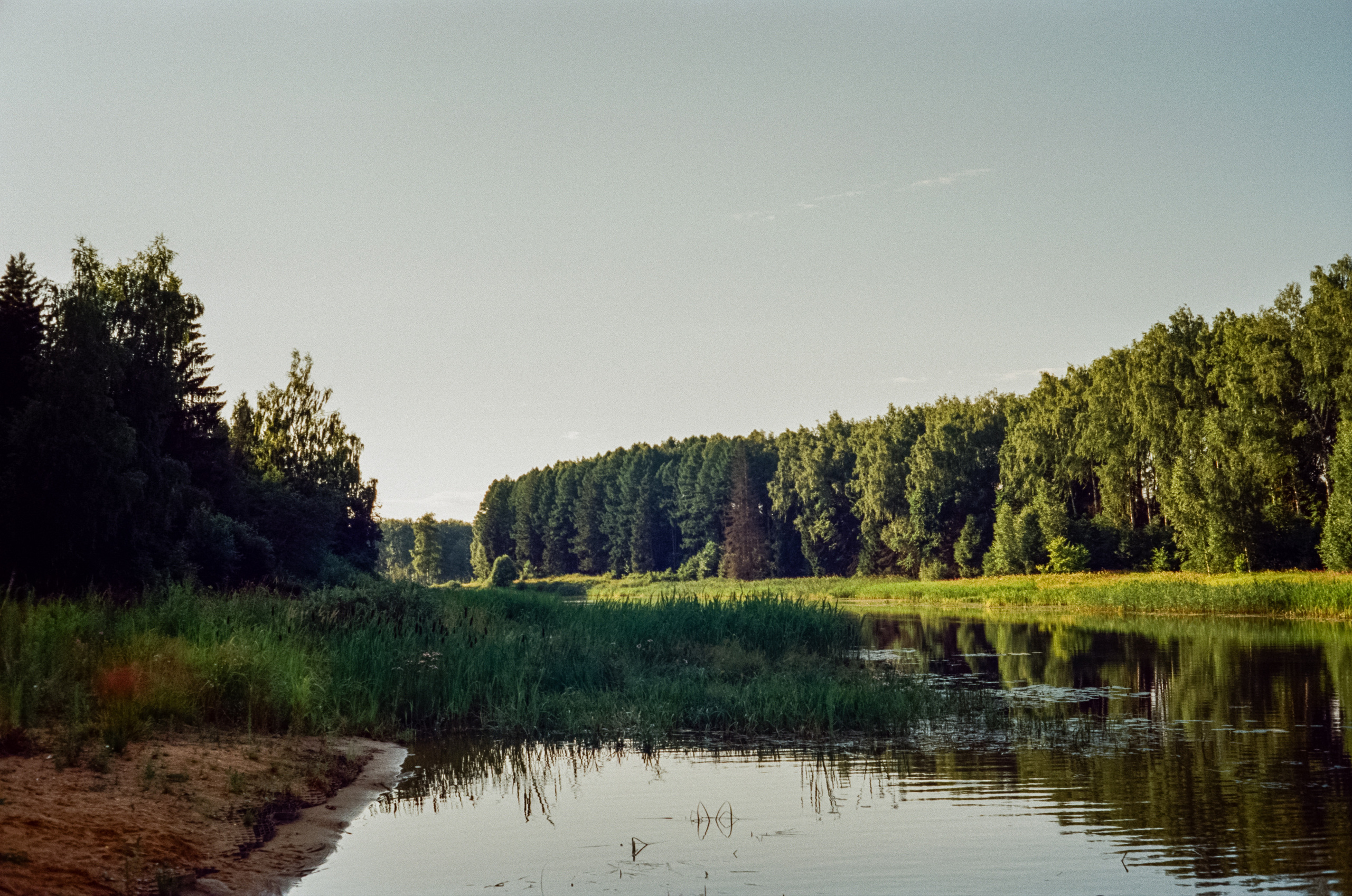 Canon Canonet QL17 G-III QL