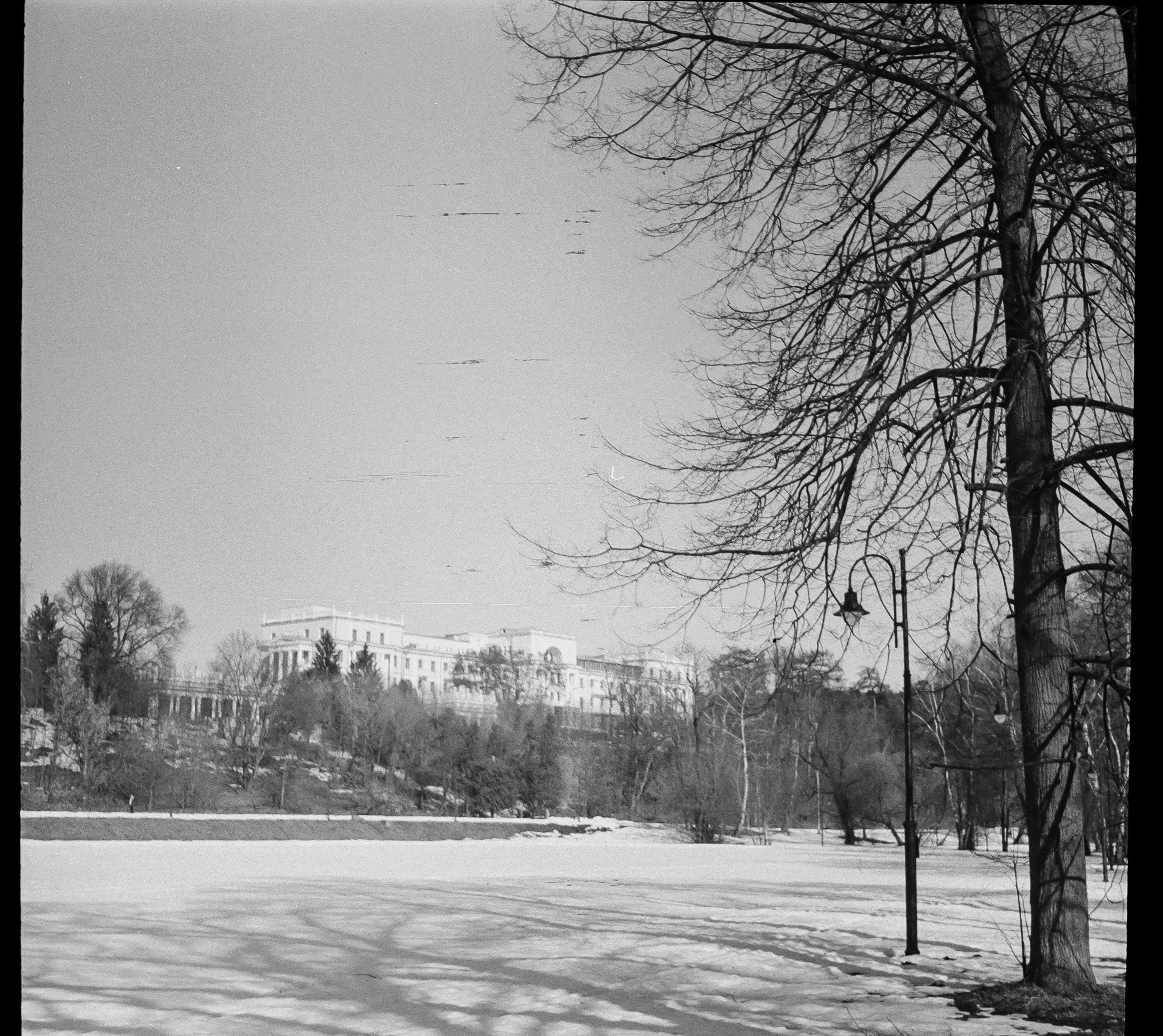 SFL UN 54 BW / Zeiss Ikon Tenax