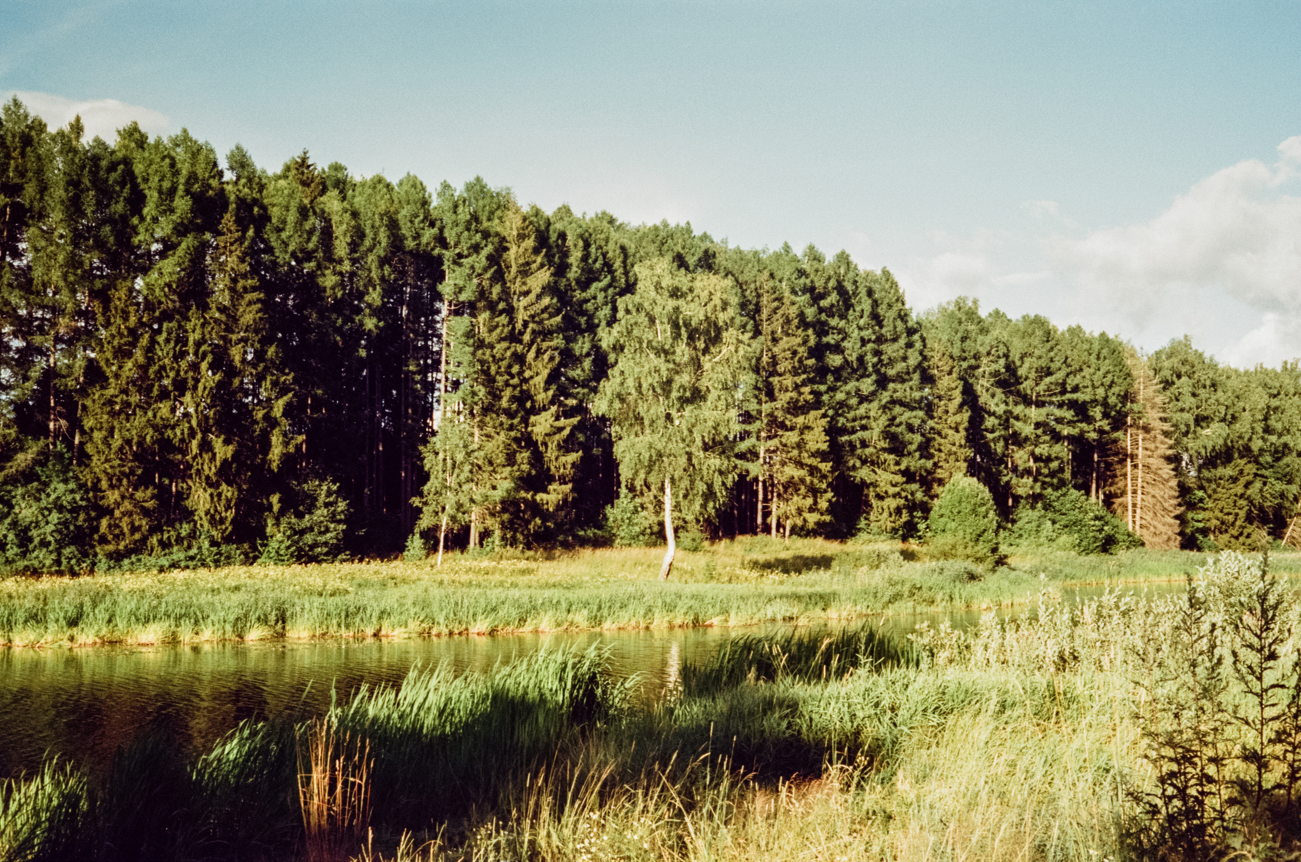 Canon Canonet QL17 G-III QL