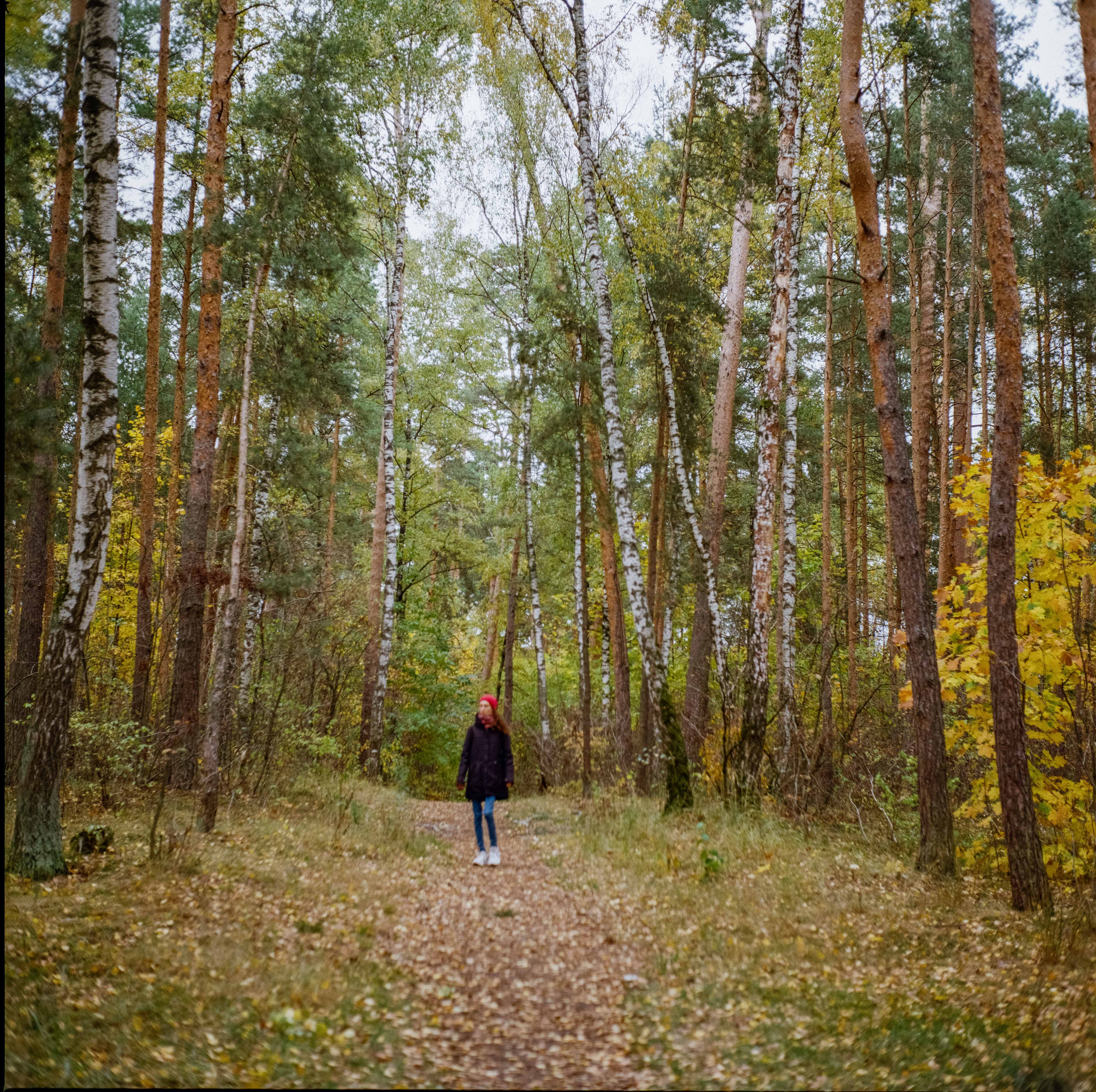 Yashica Mat-124G / Kodak Gold 200