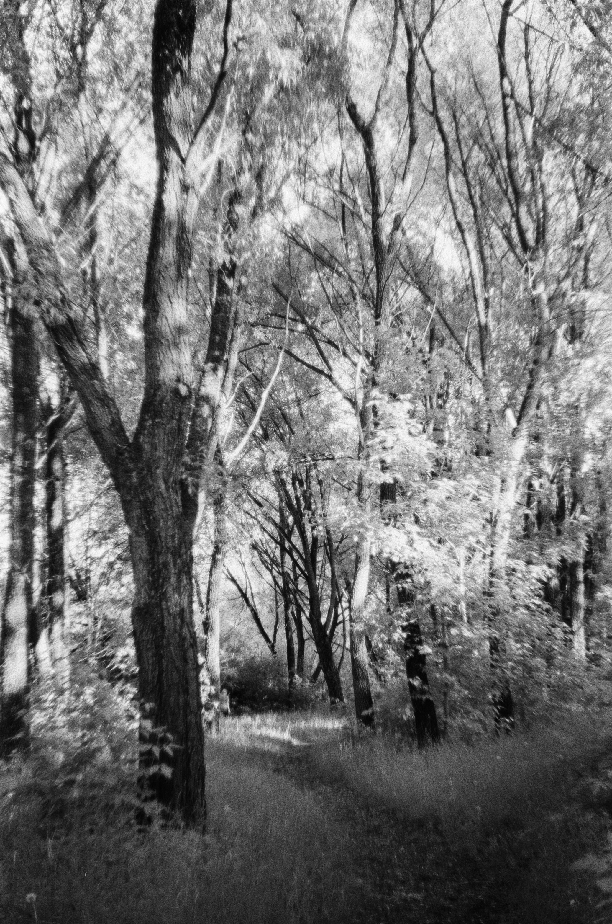 Schneider Xenon 50mm f2.0