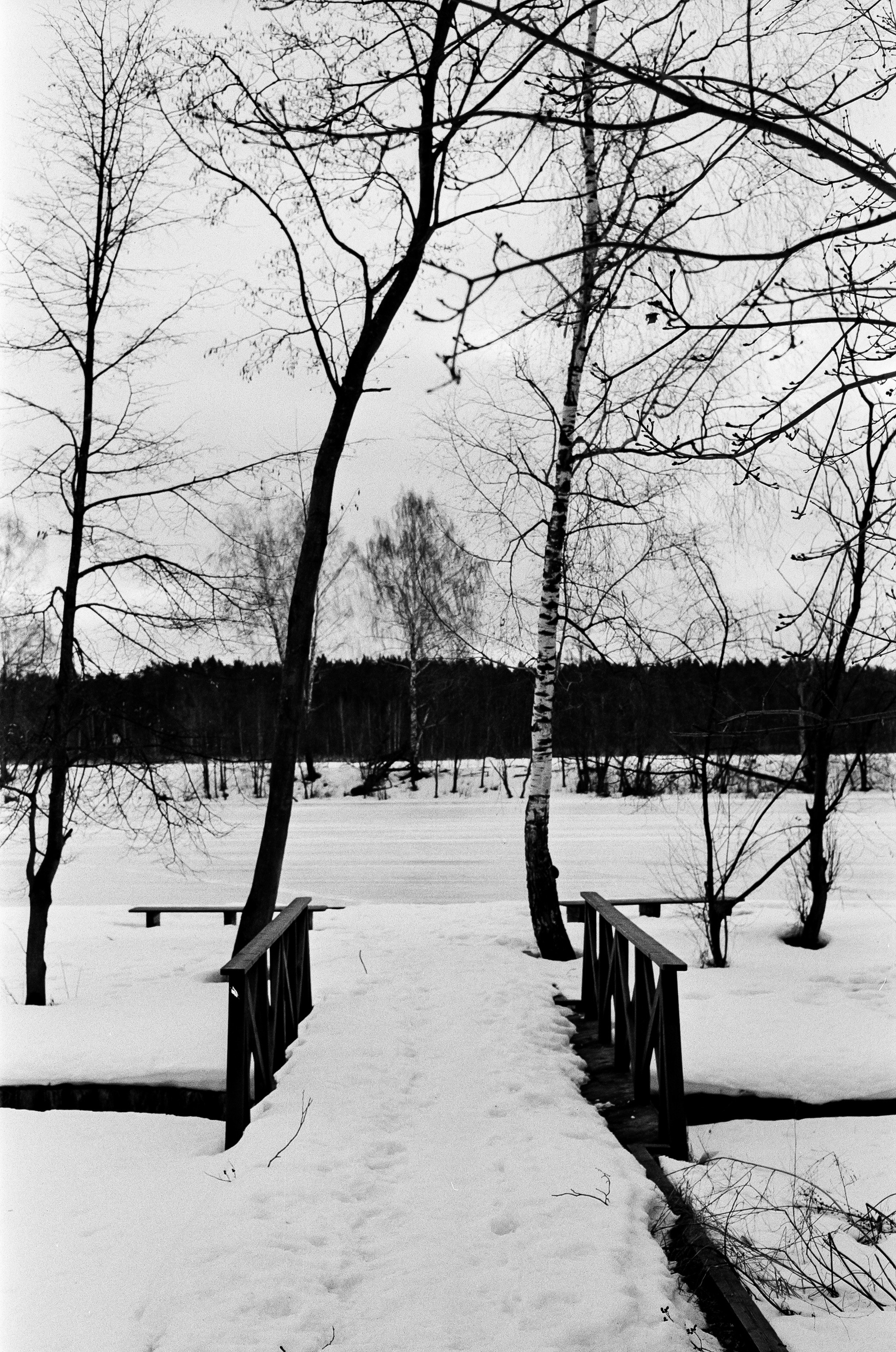 Retina Xenon C 50mm f2.0