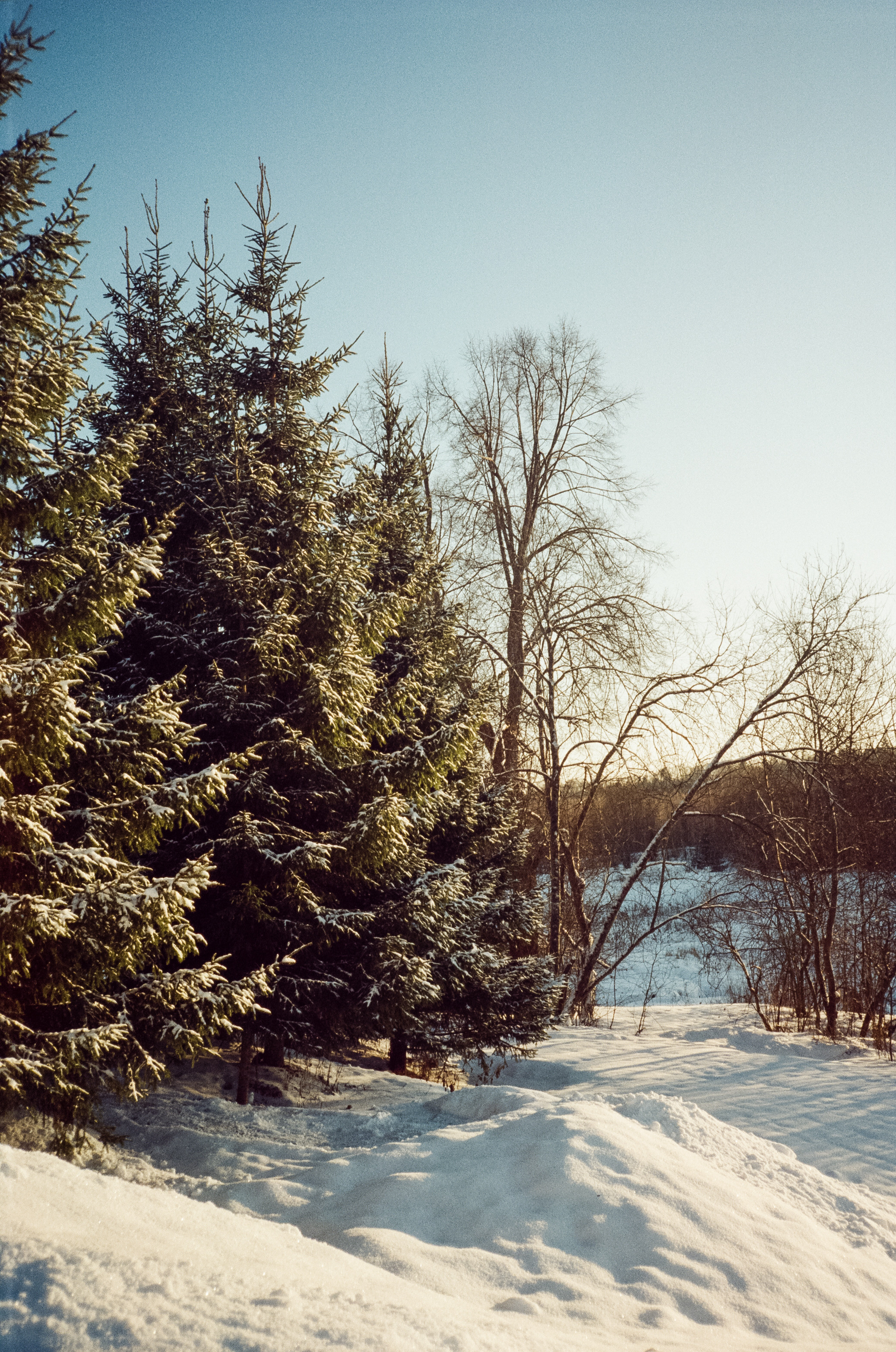 Kodak Vision 3 250D / Revue 35CC