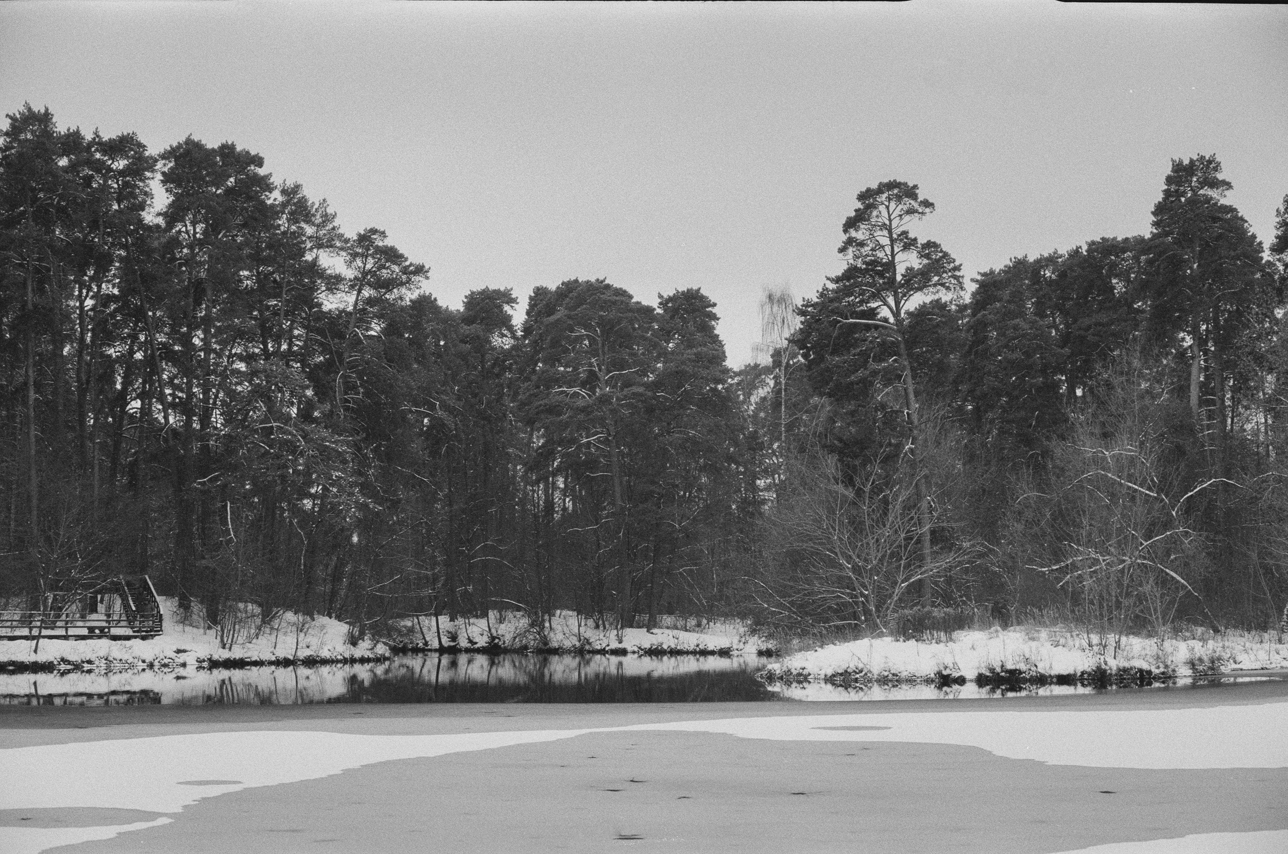 Konica III M / AgfaPhoto APX 400