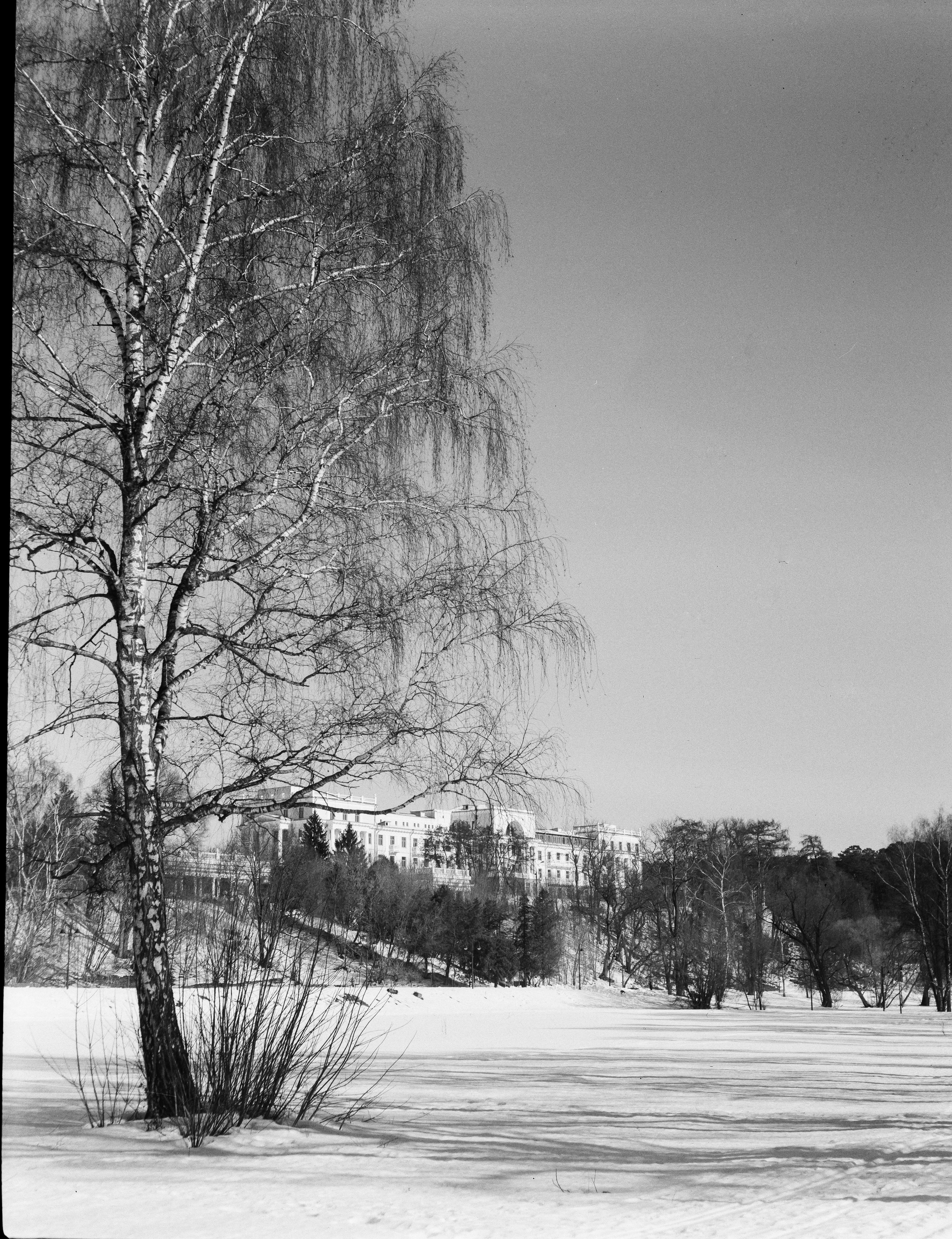 Ilford FP4 Plus ISO 125 / Zeiss Ikon Ikonta 521