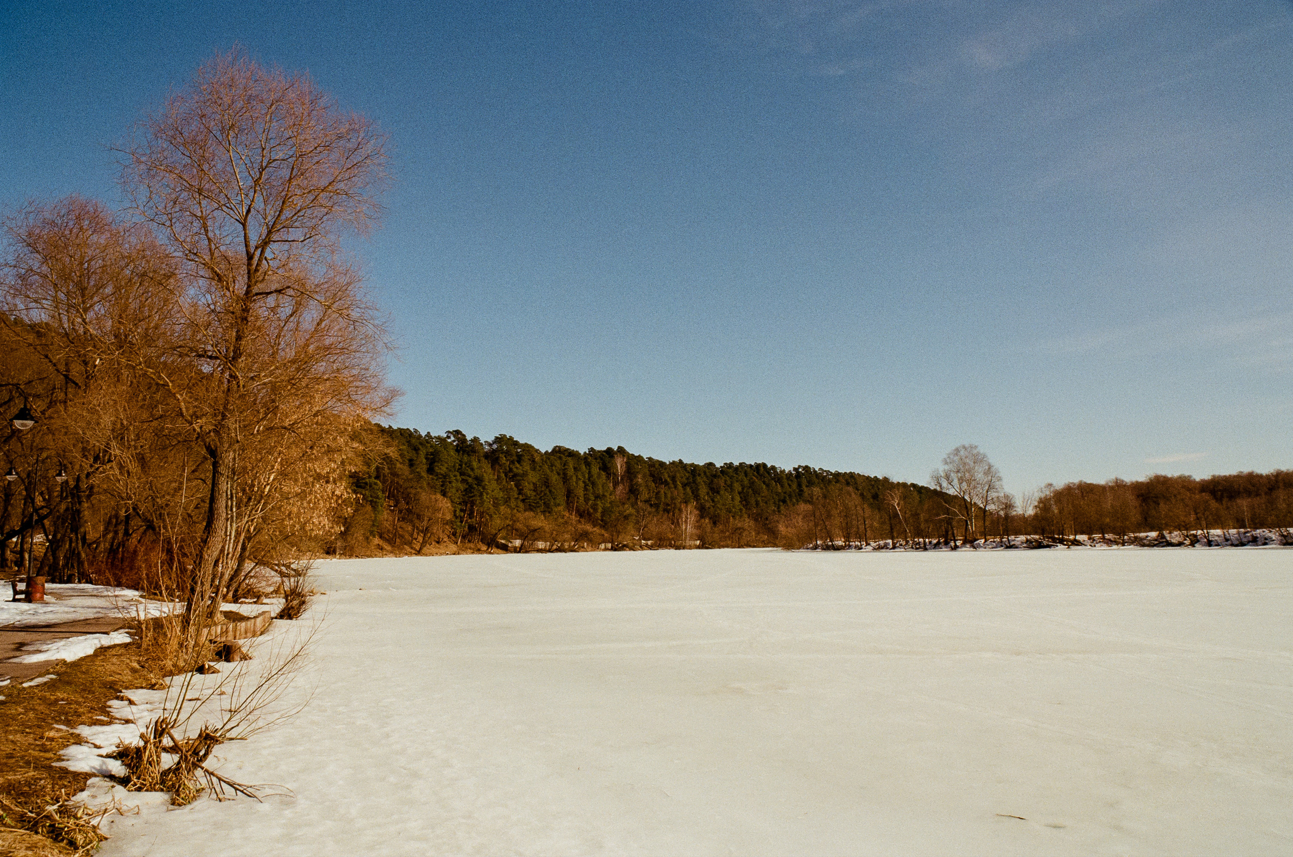 Kodak Ektar 100 / Contax N1