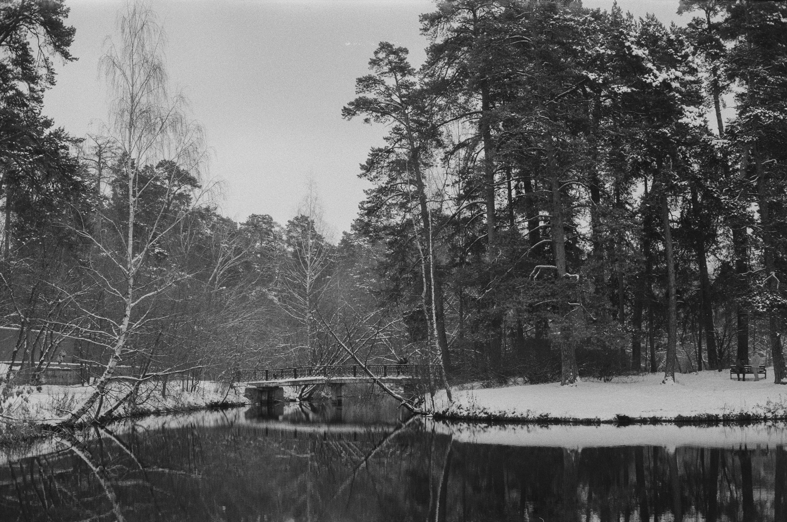 Konica III M / AgfaPhoto APX 400