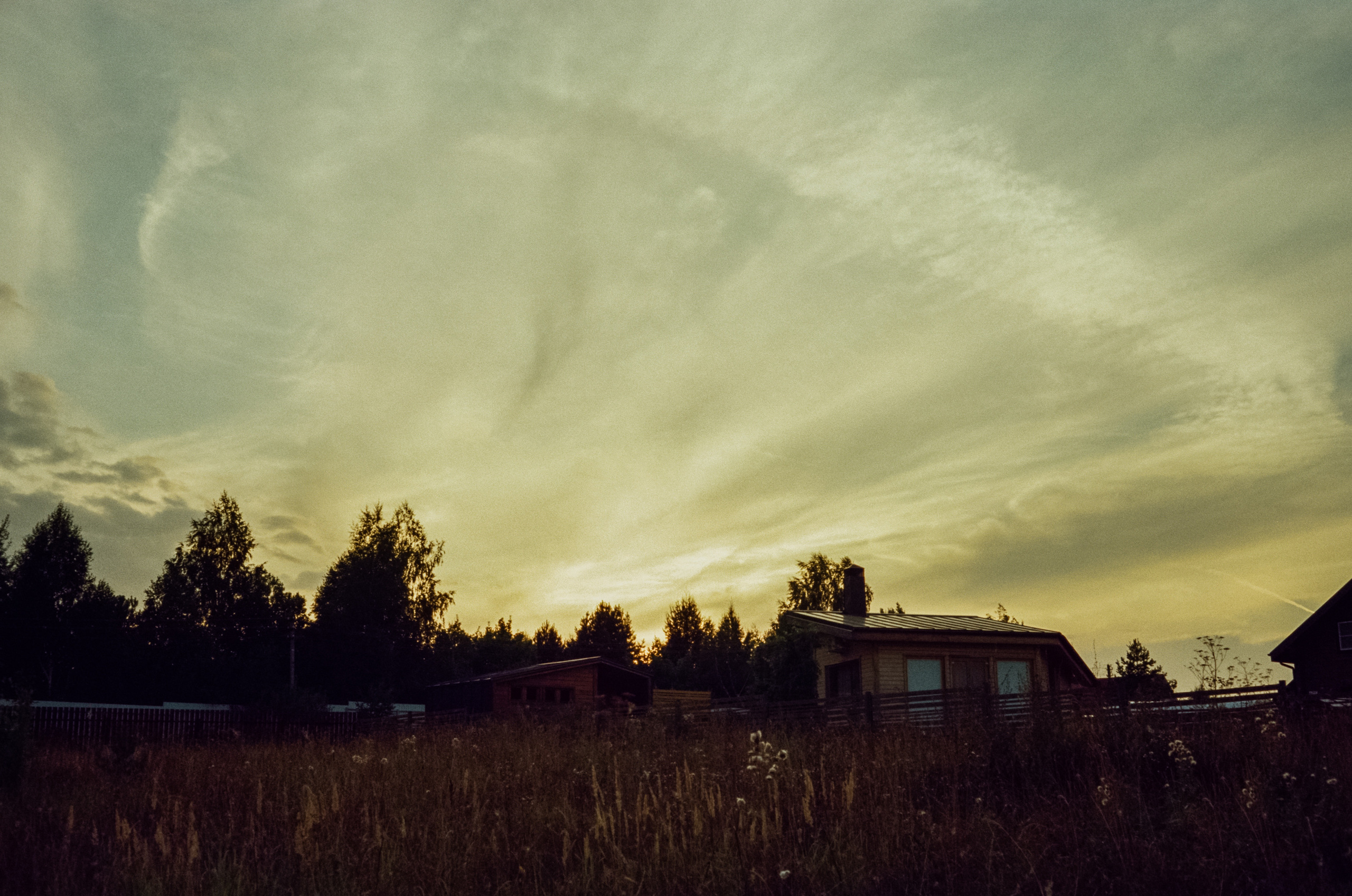 Canon Canonet QL17 G-III QL / Kodak Vision 3 250D