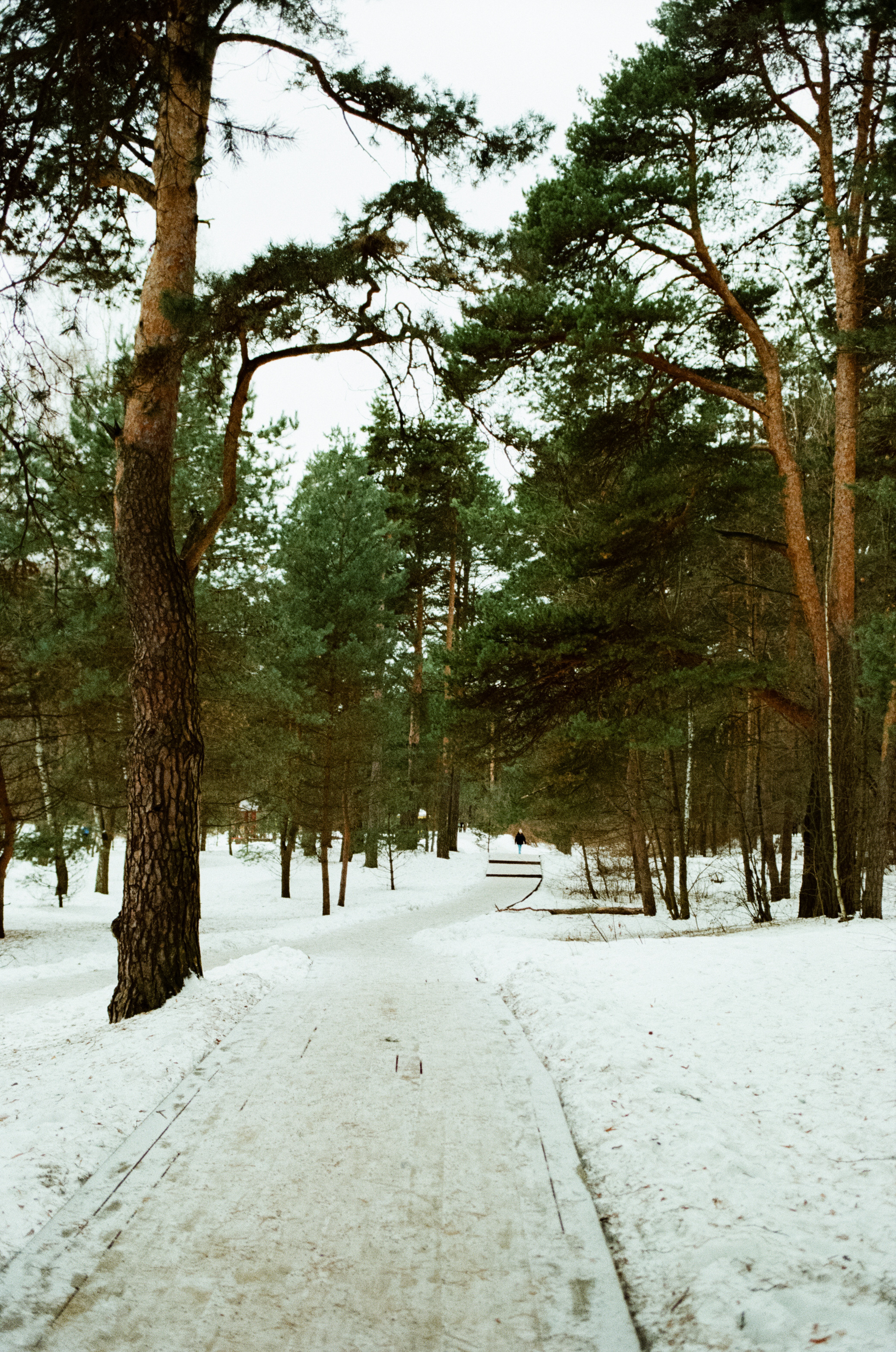 SMC Pentax-FA 35 mm f2.0 — Pentax MZ-3 / Kodak Color Plus 200