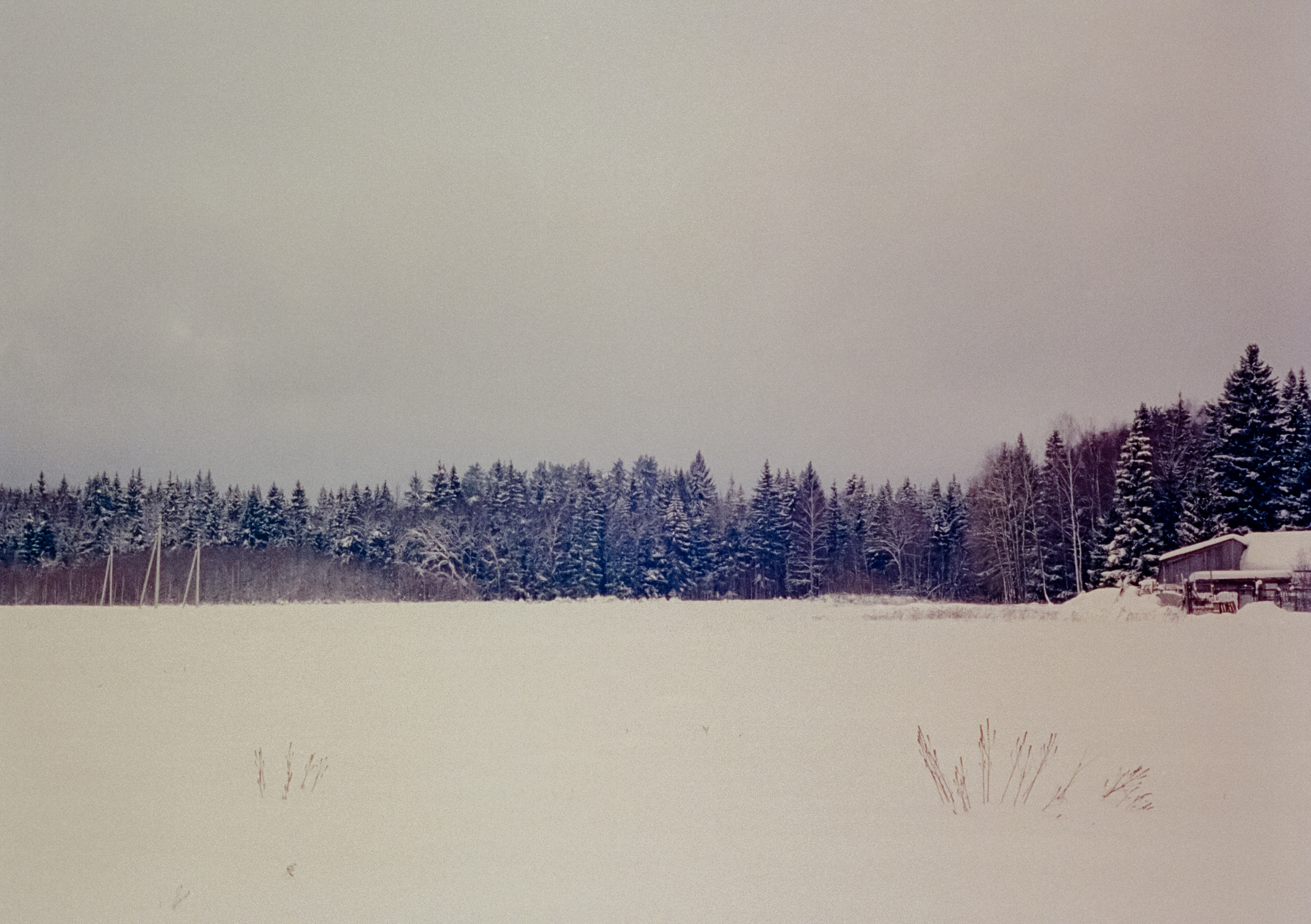 Olympus Pen EED / Kodak Vision 3 500T